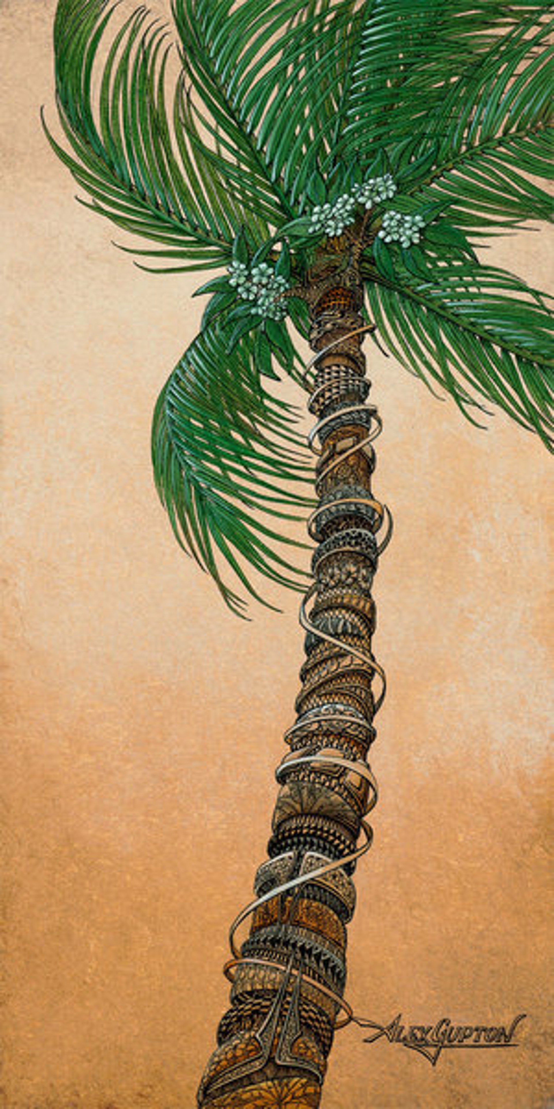 Palm Flower by Alex Gupton