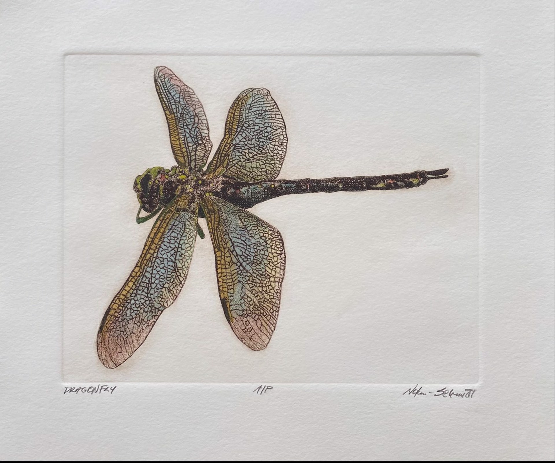 Dragonfly (Artist Proof) by William Nolen-Schmidt