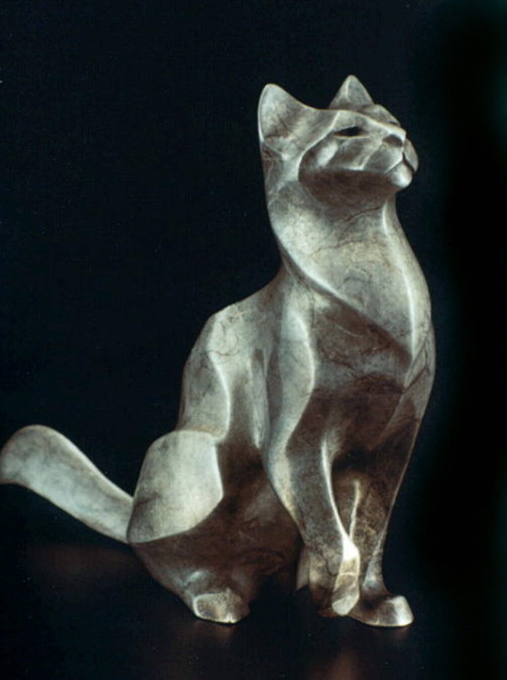 Miniature Cat - Tika by Rosetta