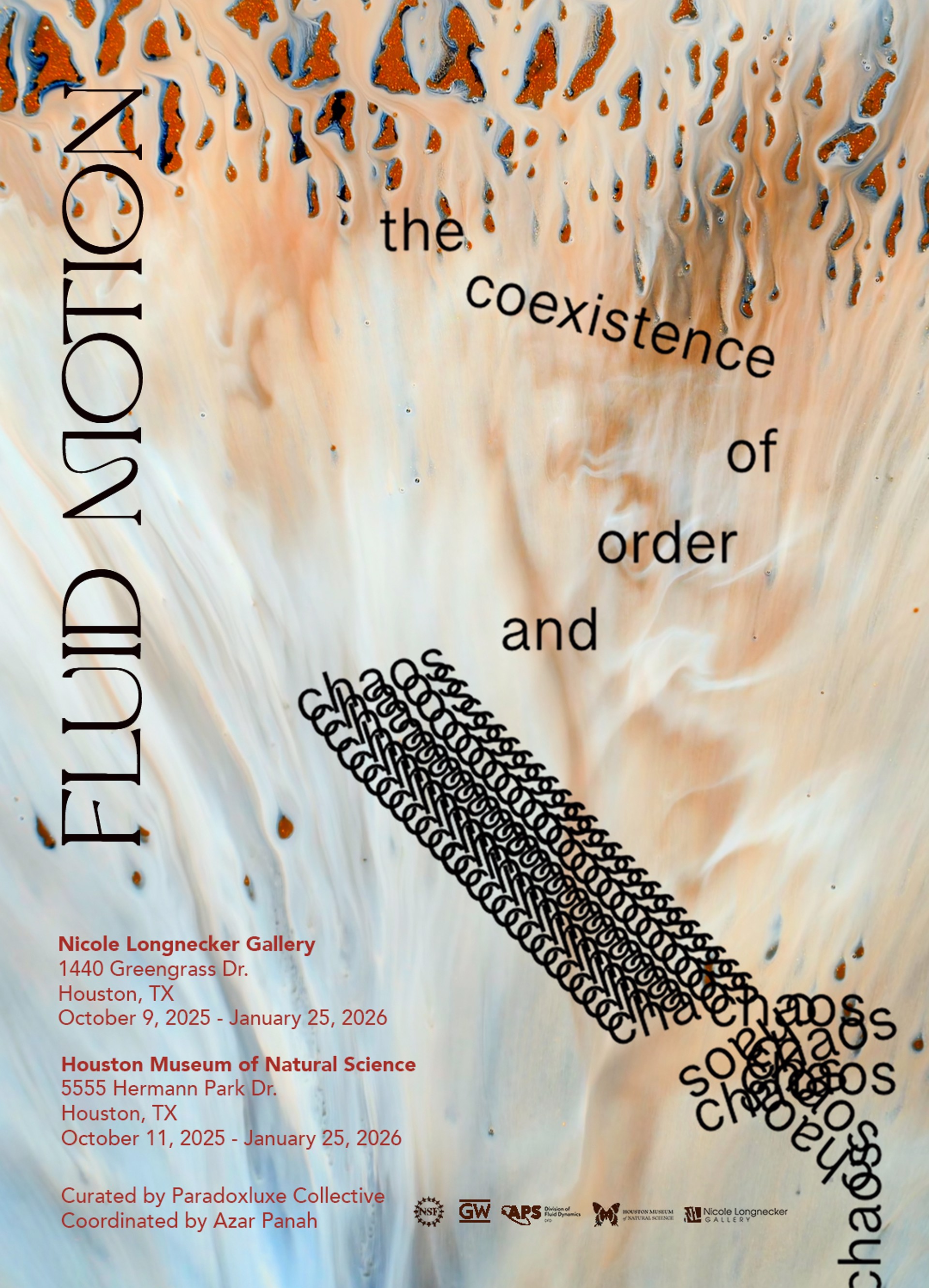 Fluid Motion: The Coexistence of Order and Chaos | Nicole