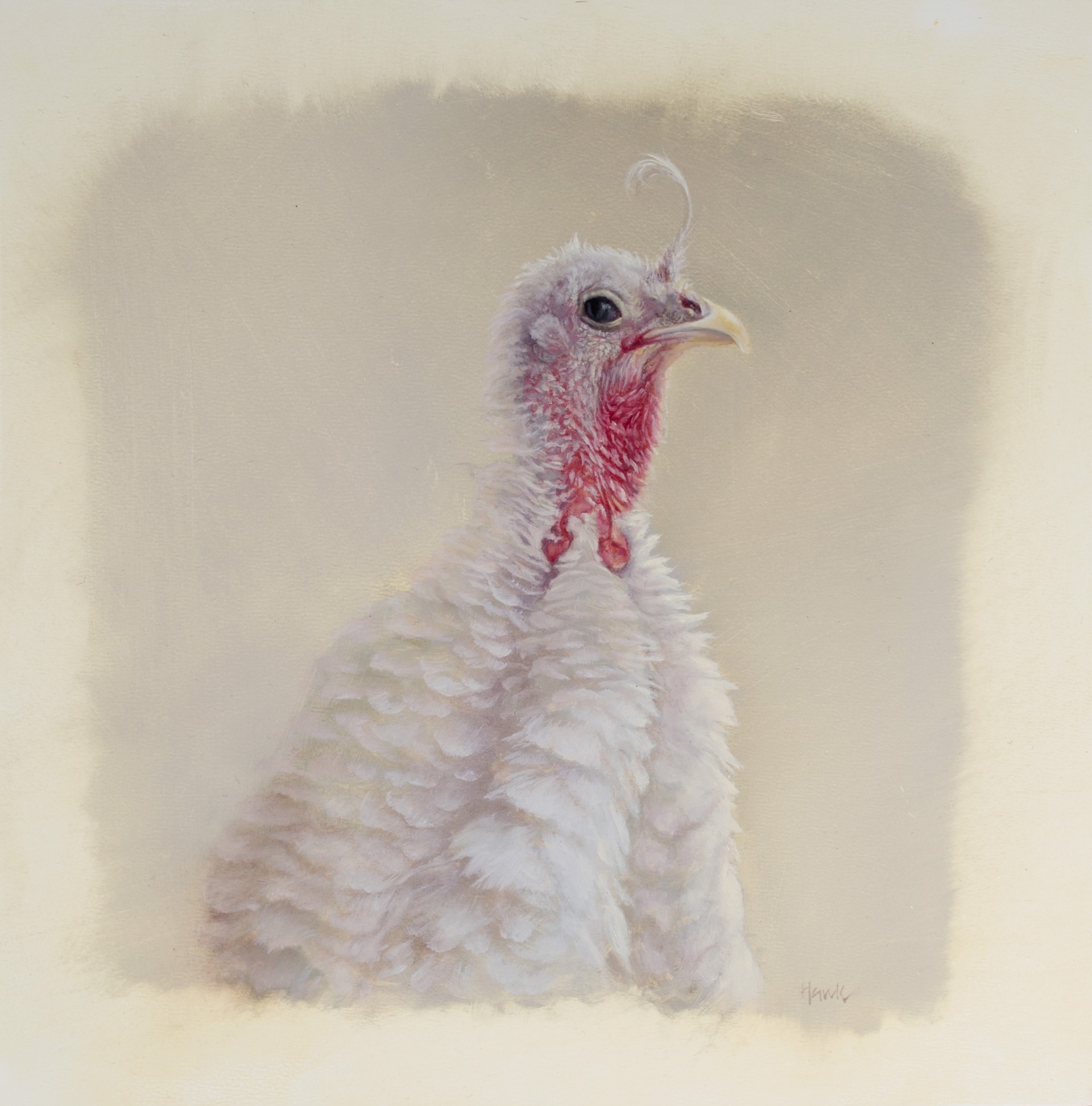 Ugly Turkey by Dana Hawk