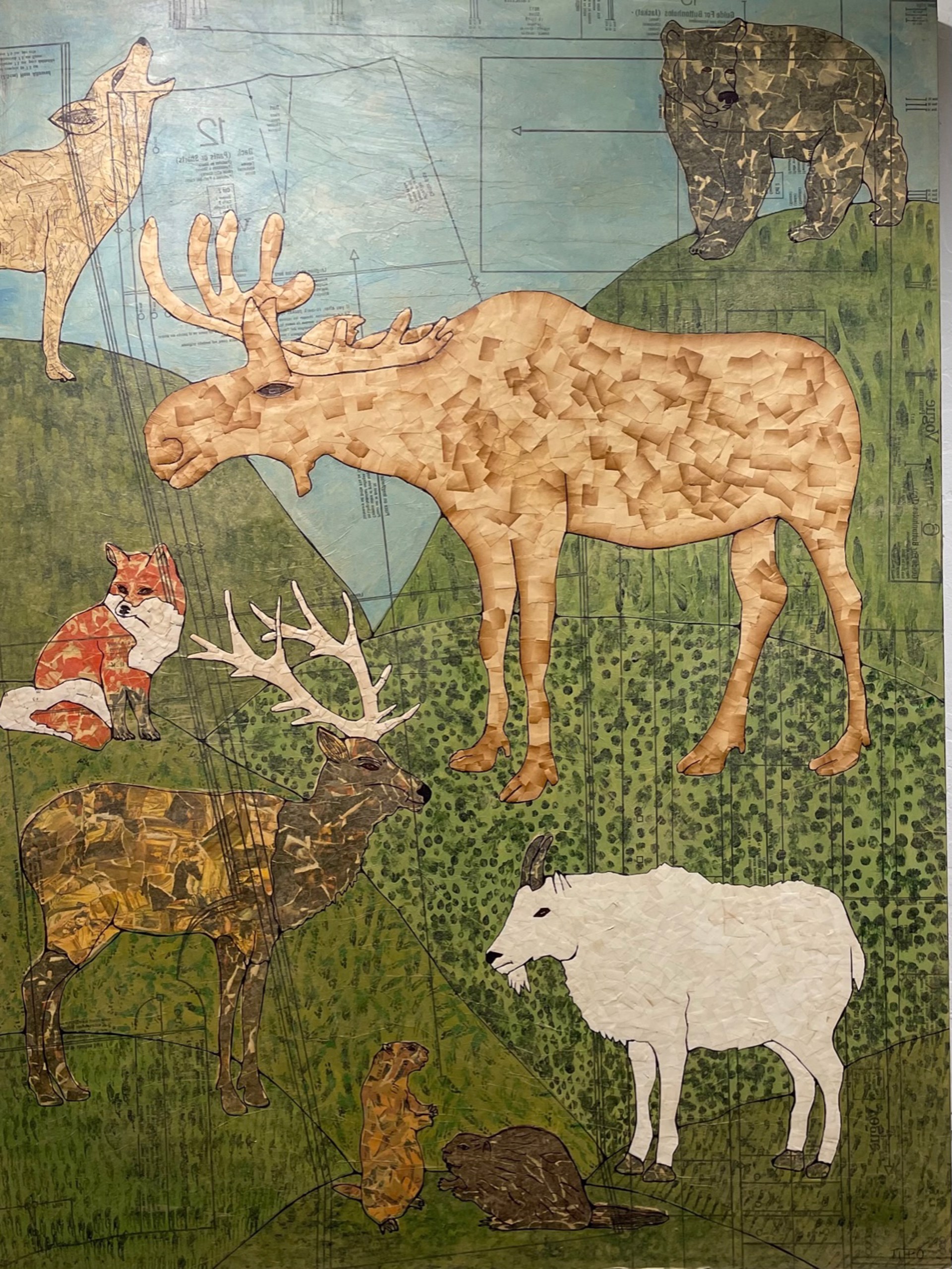 Spotting Wildlife by Tiffany Ownbey