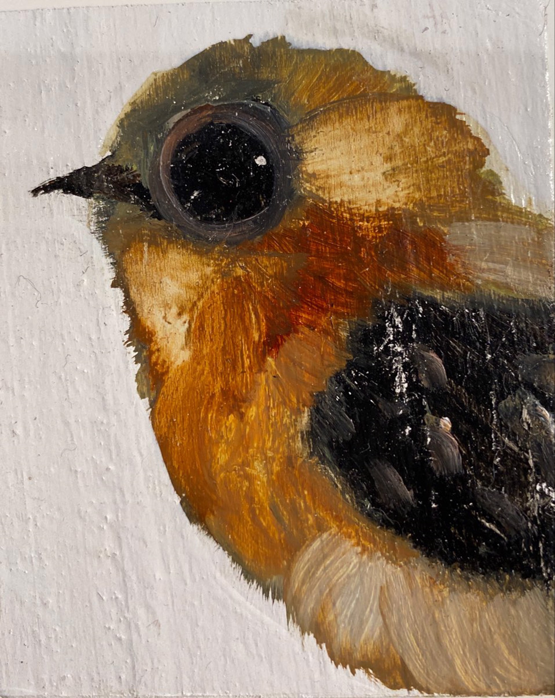 Bird Blocks by Diane Kilgore Condon