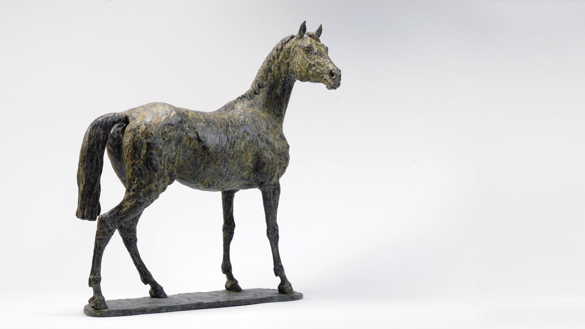 Thoroughbred by Julia Wager