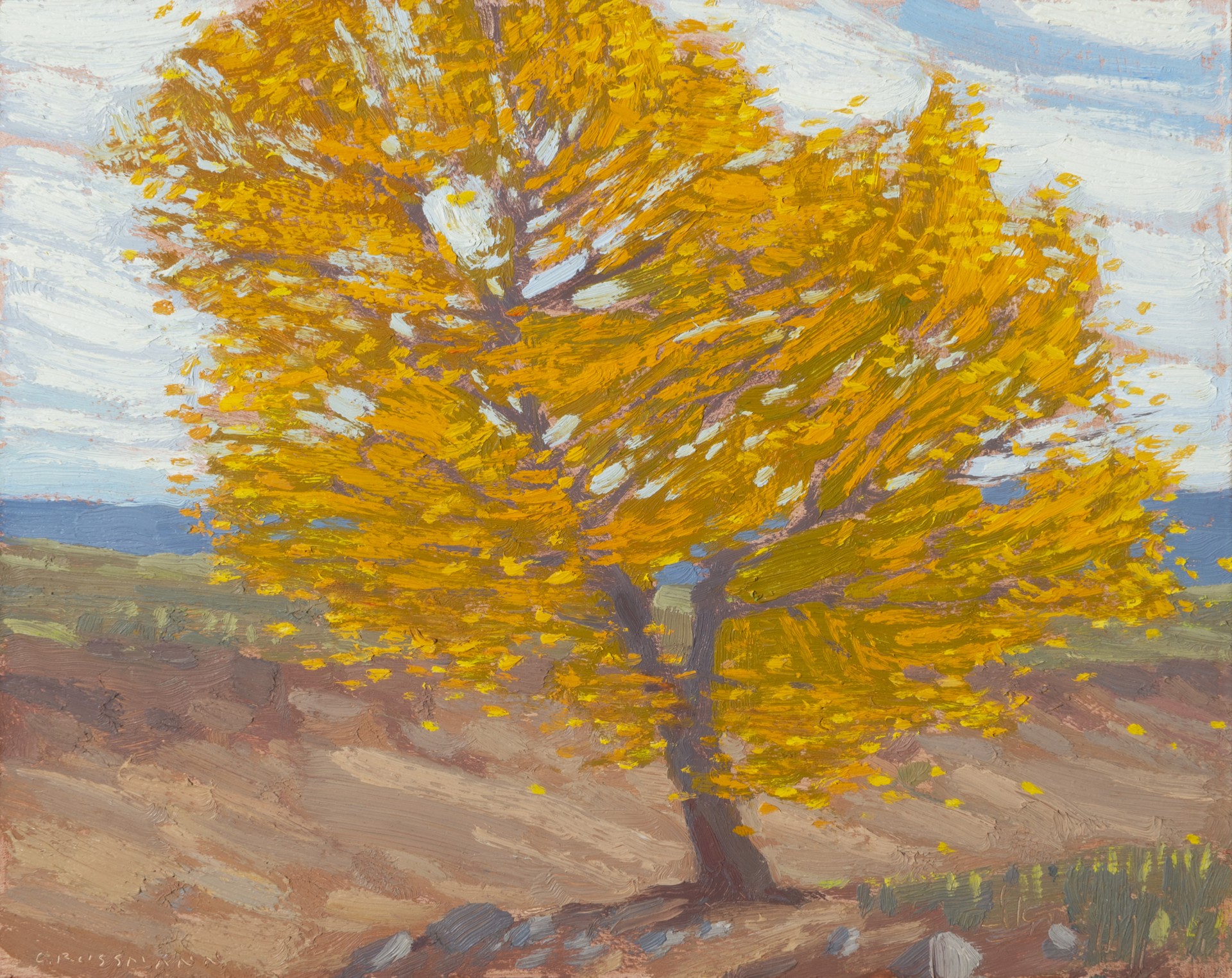 Autumn Cottonwood in the Arroyo by David Grossmann