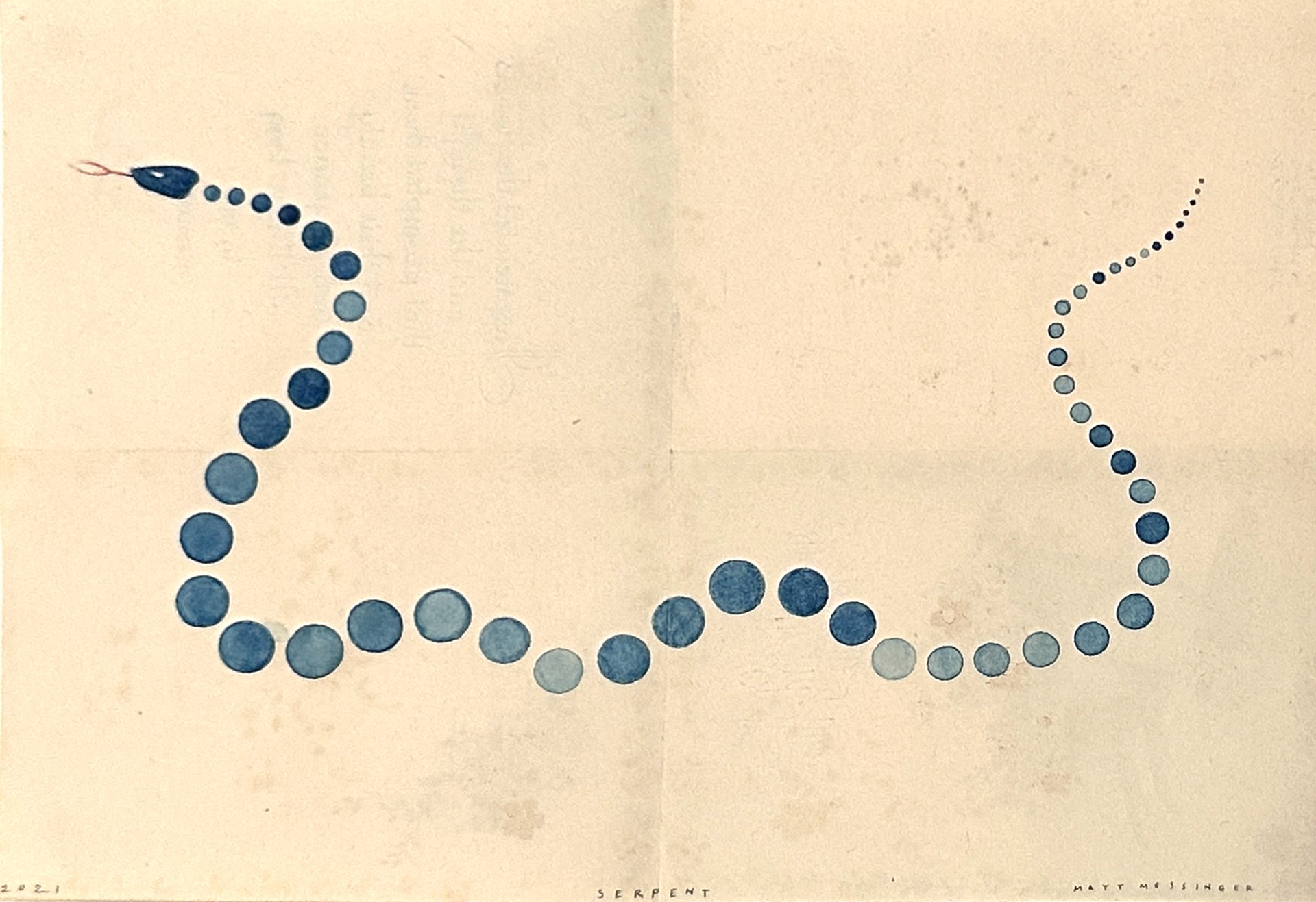 Serpent by Matt Messinger - Works on Paper