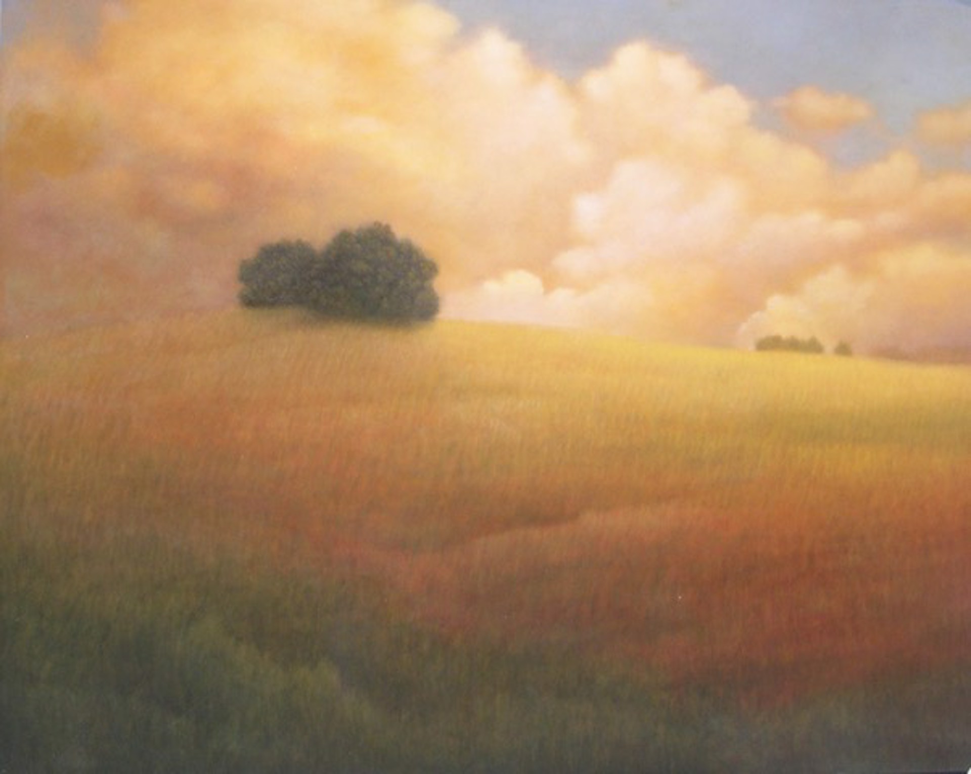 Meadow Beyond by Donna McGinnis