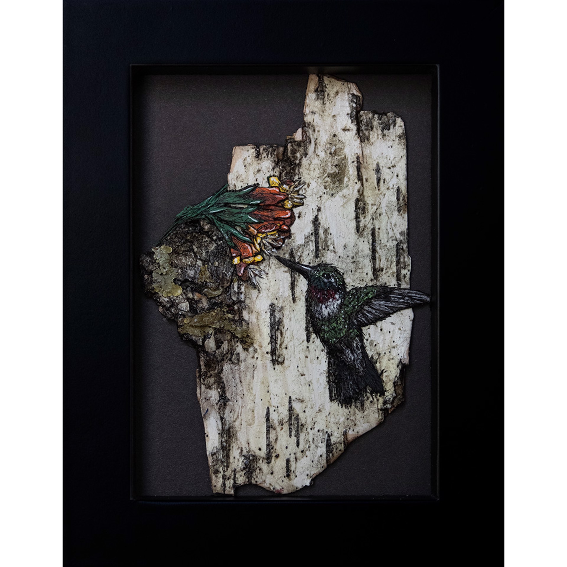 Hummingbird (Collage) by Willow Bayer