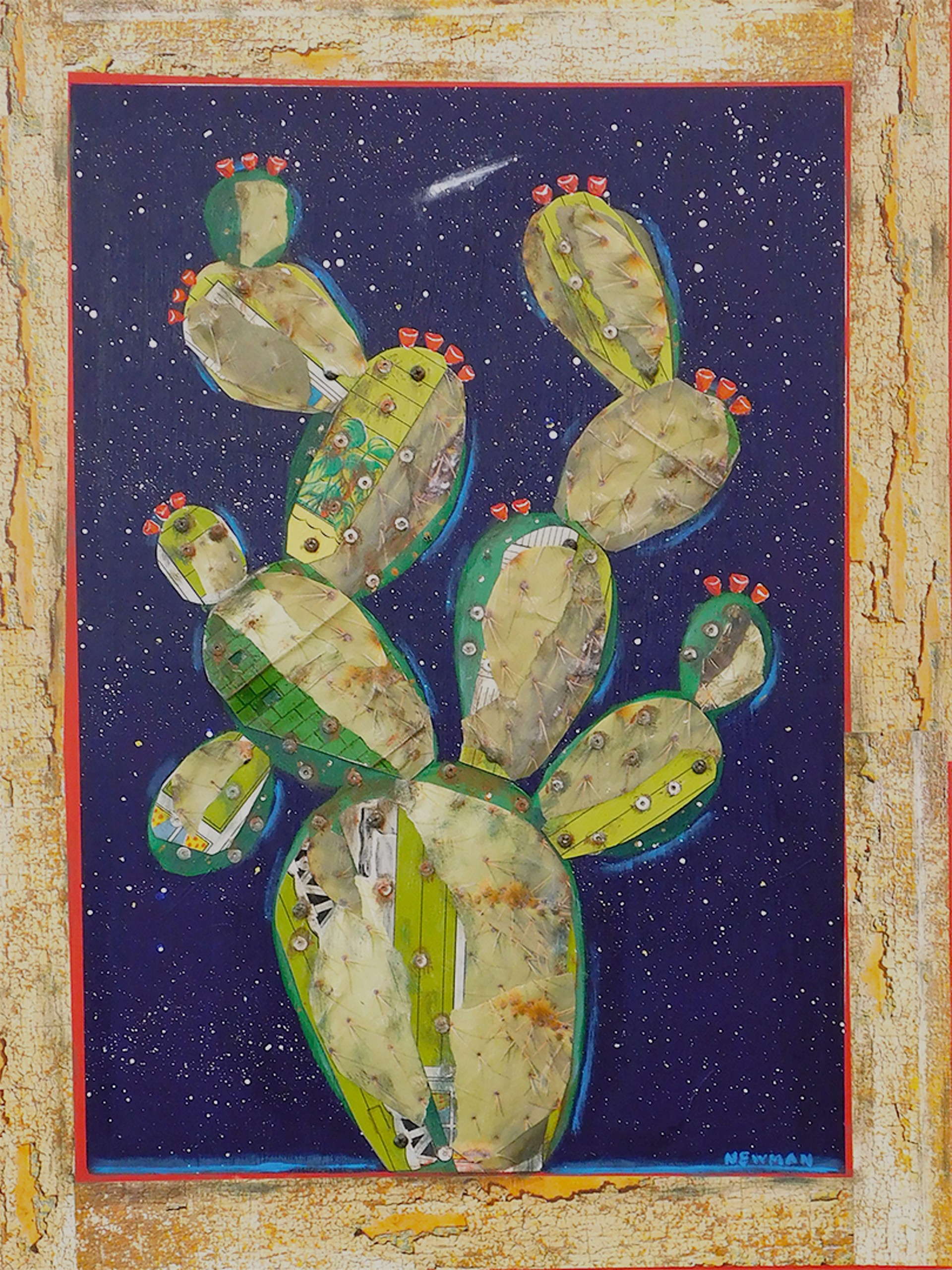 Prickly Pear Series by Dave Newman