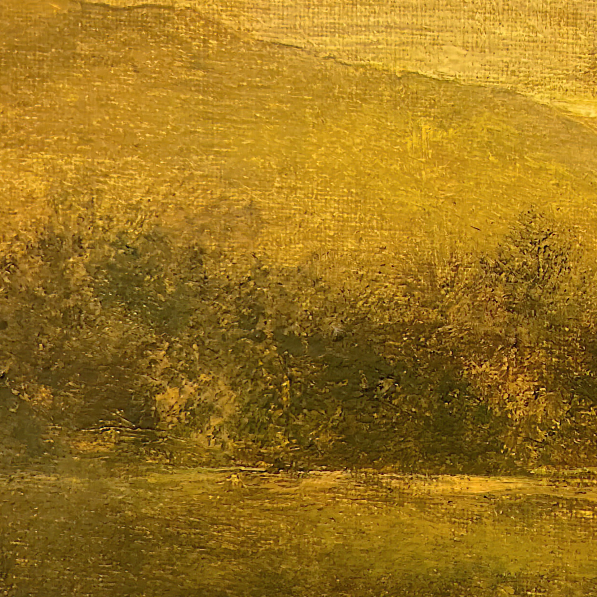 It Was a Land of Plenty by Shawn Krueger