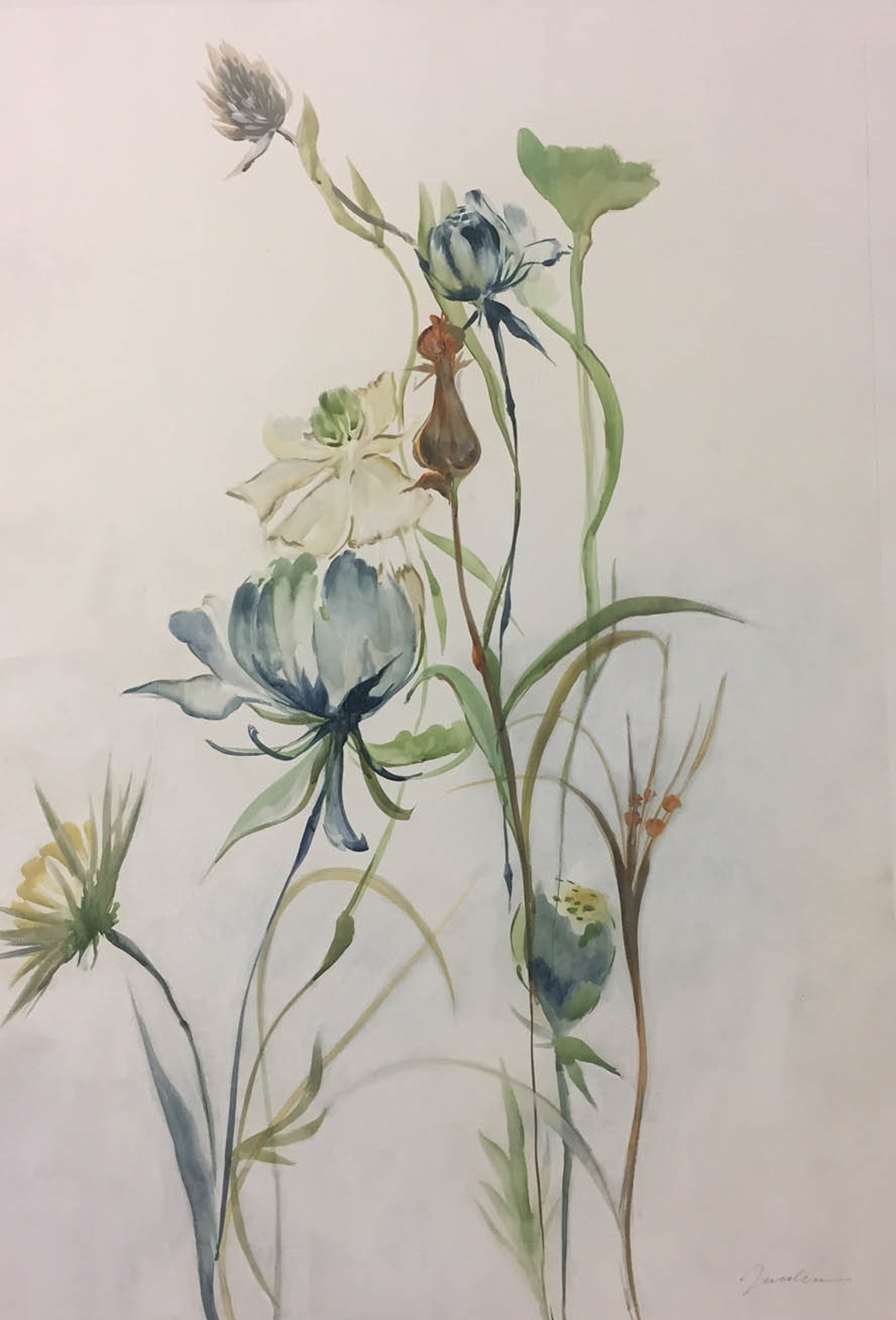 Late Summer Wildflowers 2 by Liz Jardine
