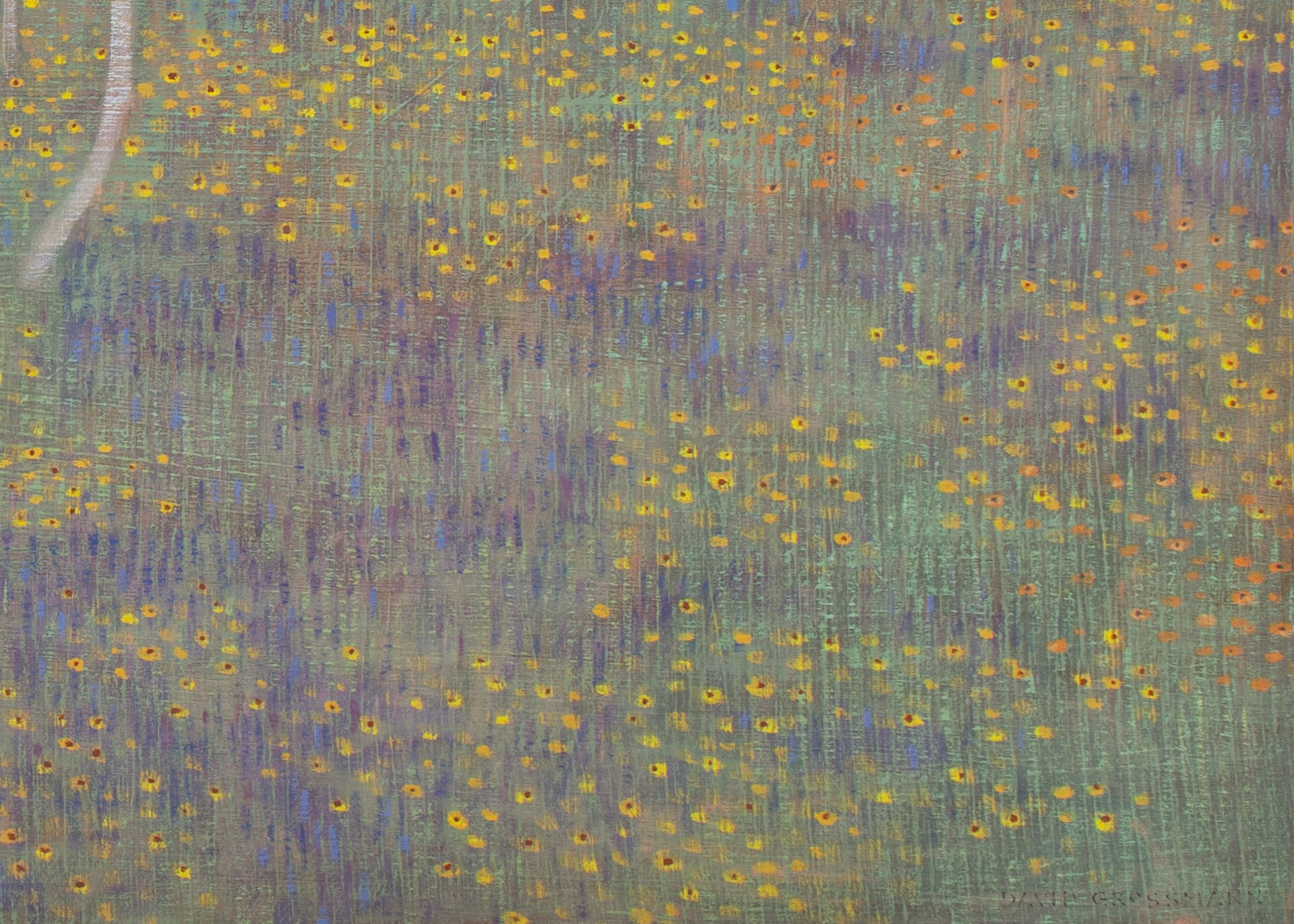 Dusk in the Wildflower Meadow by David Grossmann