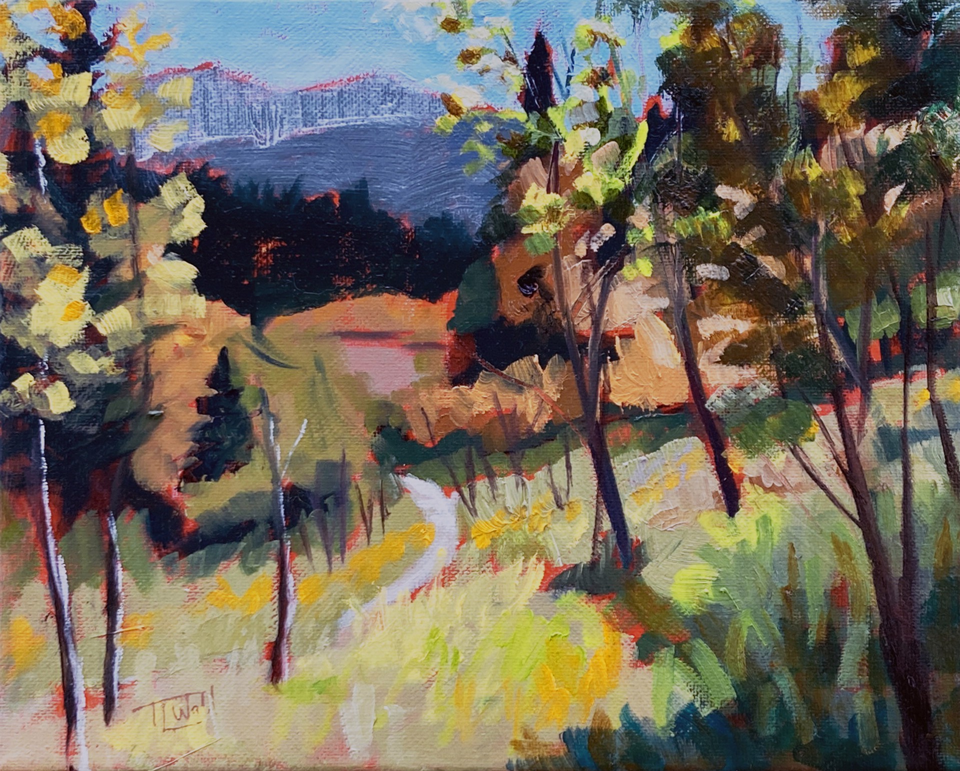 Gusty (plein air Golden Gate Canyon SP) by Tracy Wall