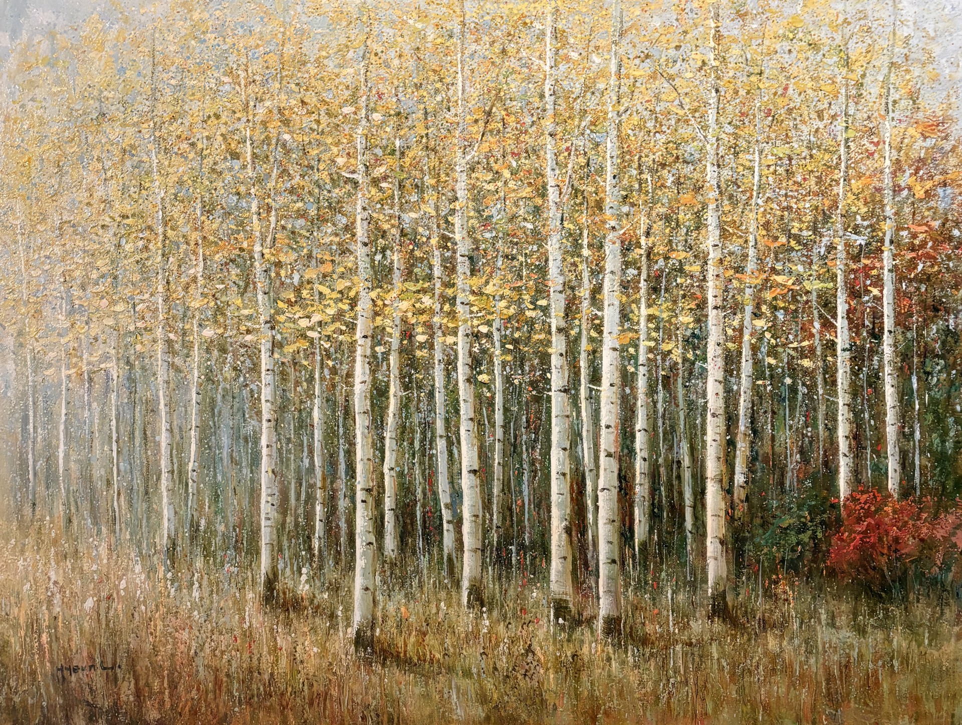 ASPEN SERIES I by H LEE