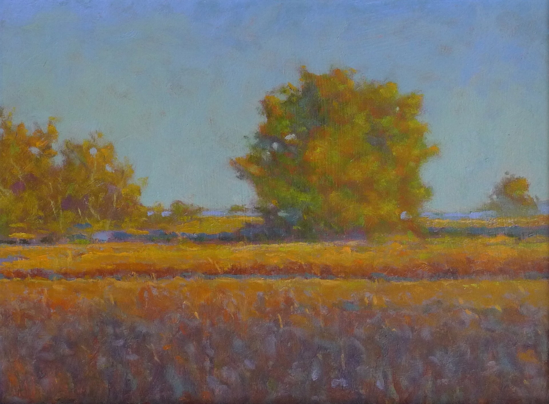 Autumn Meadow by Chris Gargan