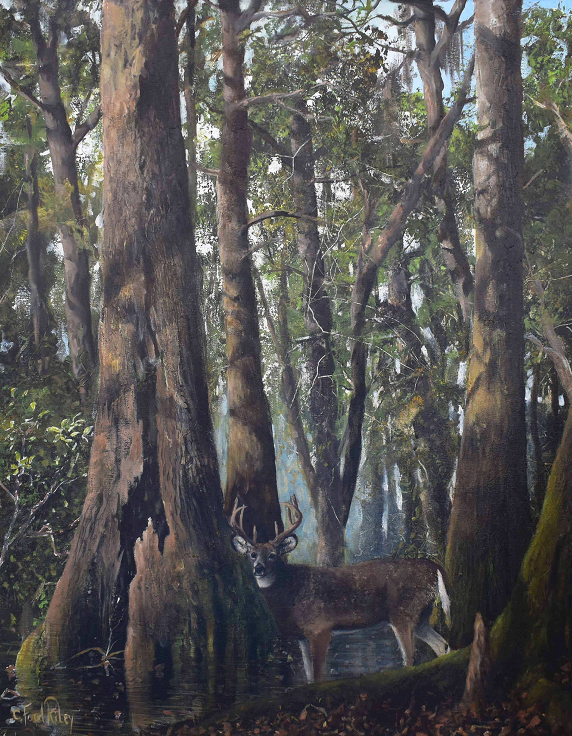 Deer Sighting by C. Ford Riley