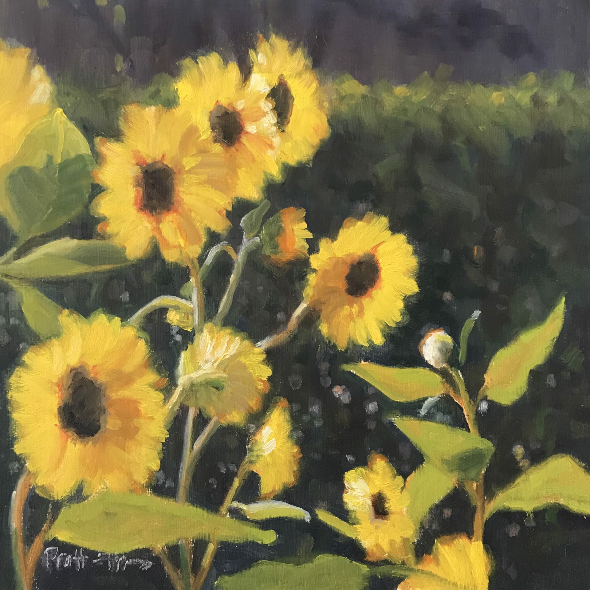 Morning Sunshine by Leslie Pratt-Thomas