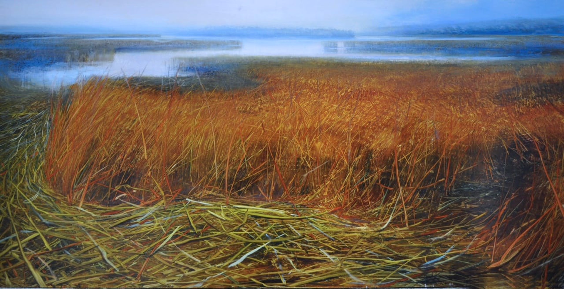 Shoreline Meander and Salt Marsh by David Dunlop