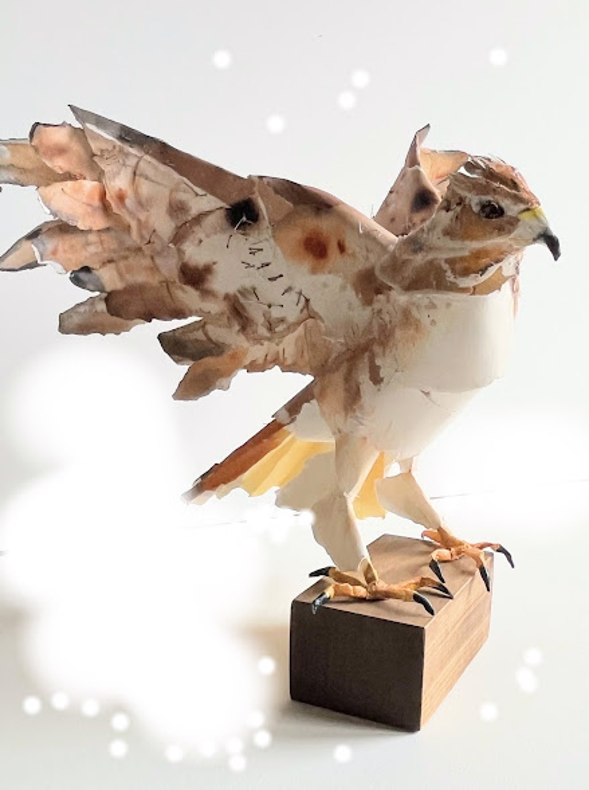 Red Tail Raptor by Cathy Rowten