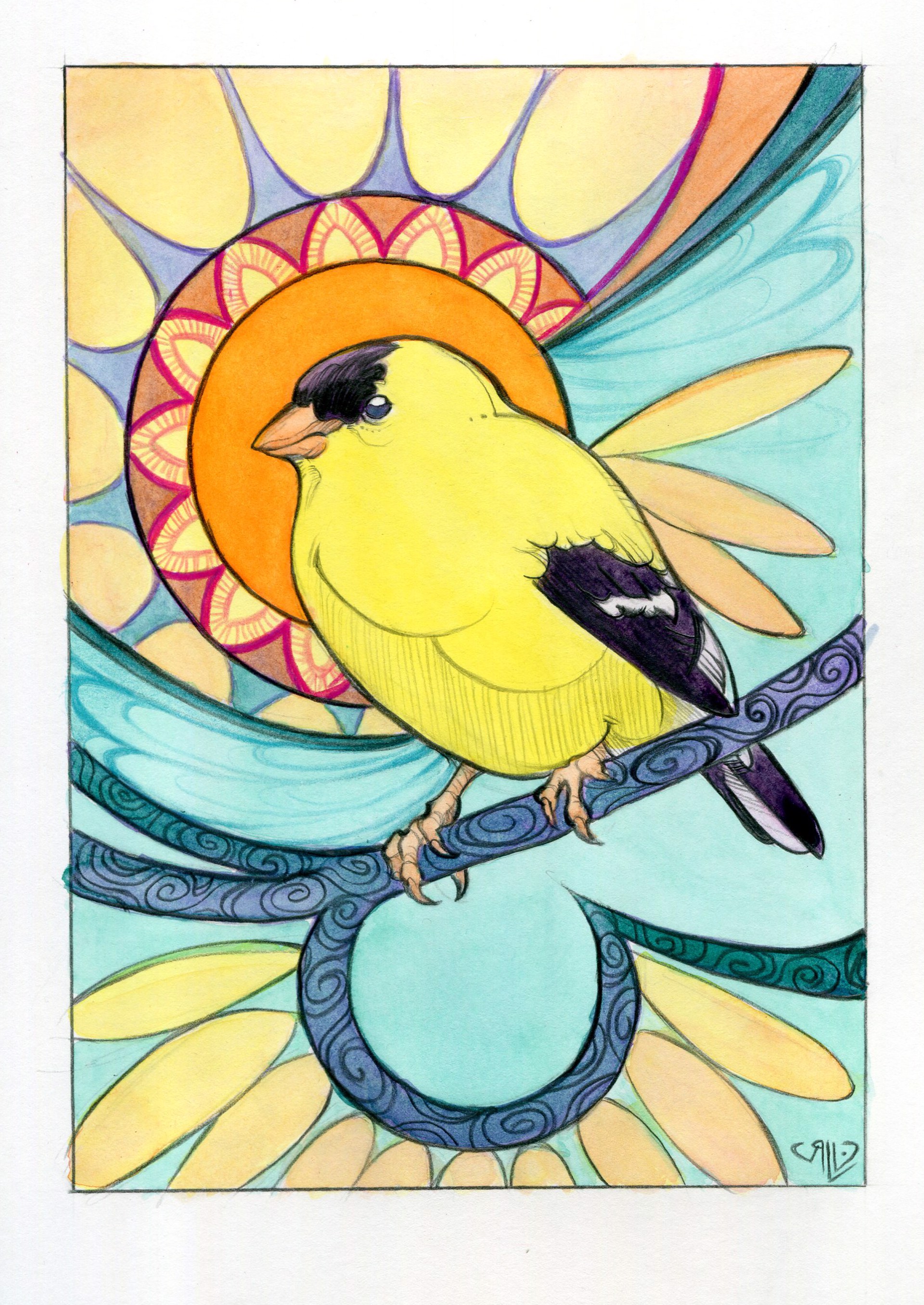 Goldfinch by Rhonda Libbey
