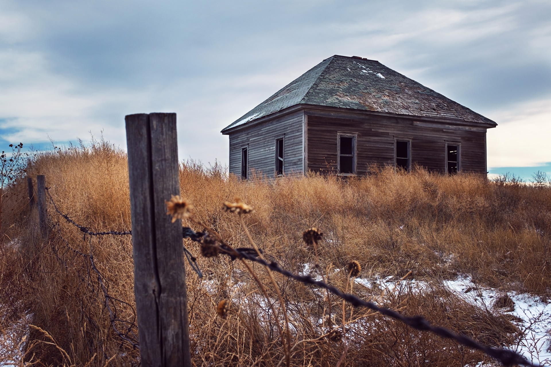 Grown Up by Thomas Zimmerman