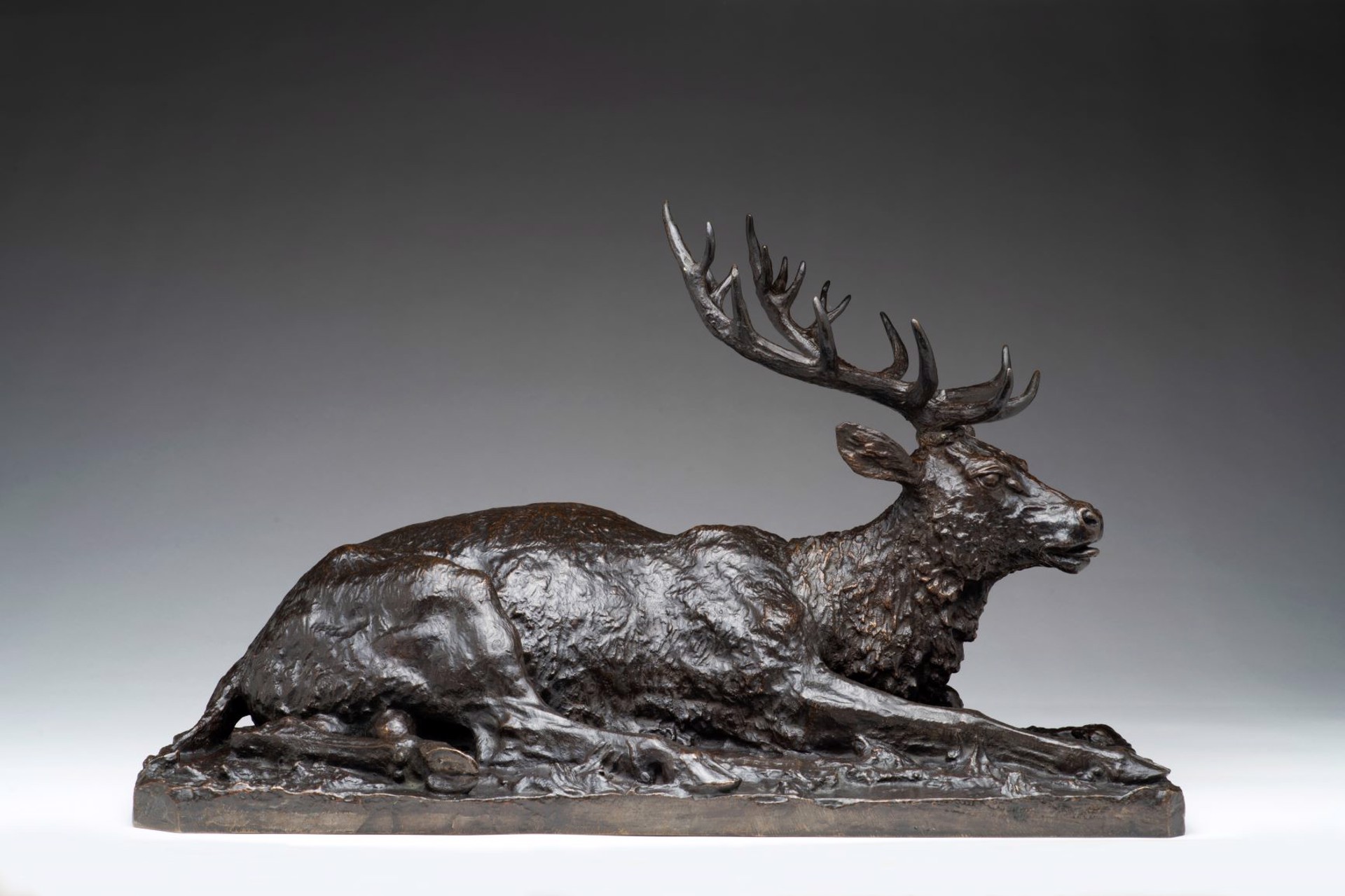 Reclining Elk by Christophe Fratin