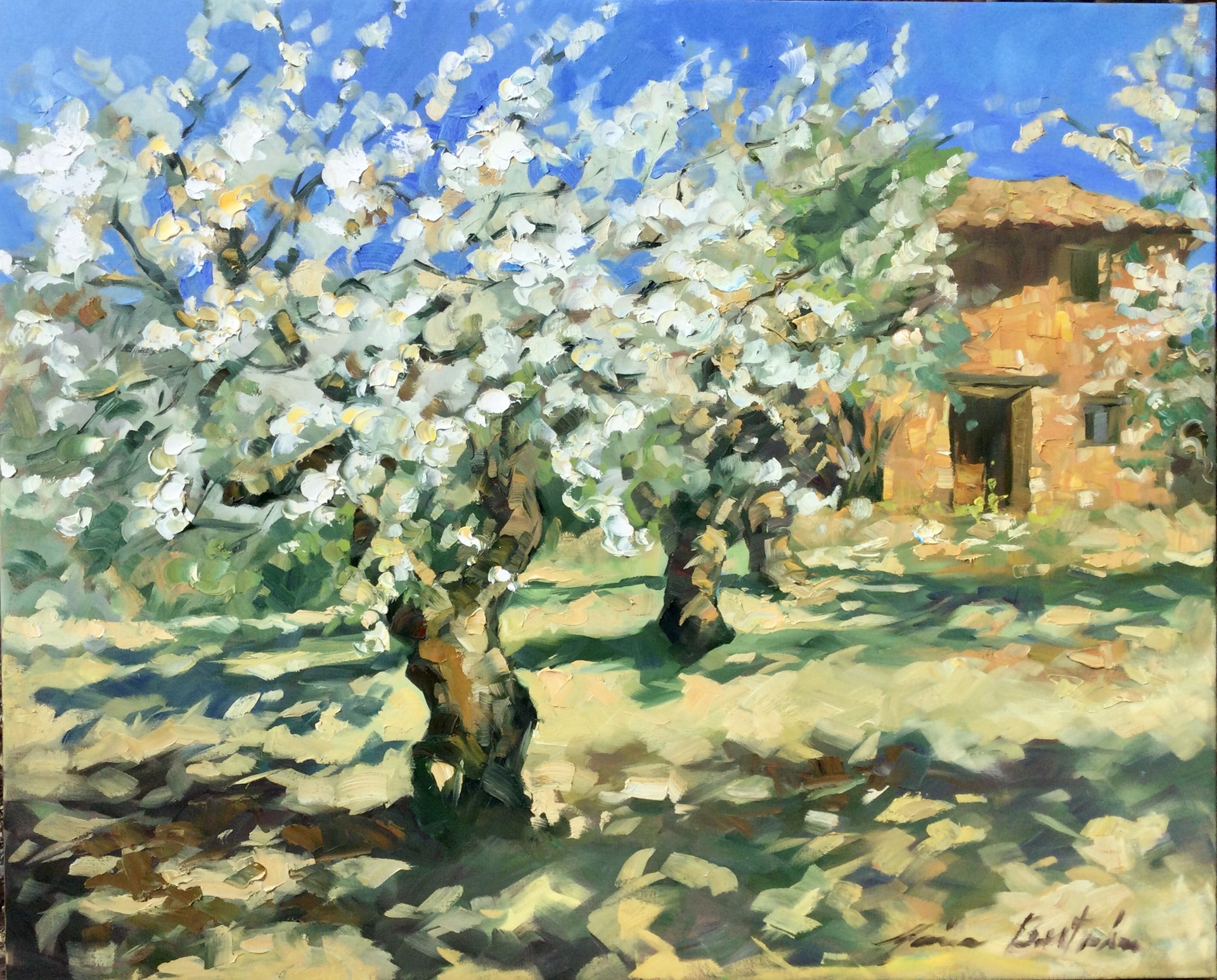 Cherry Trees In Bloom By The Cabonon by Maria Bertrán