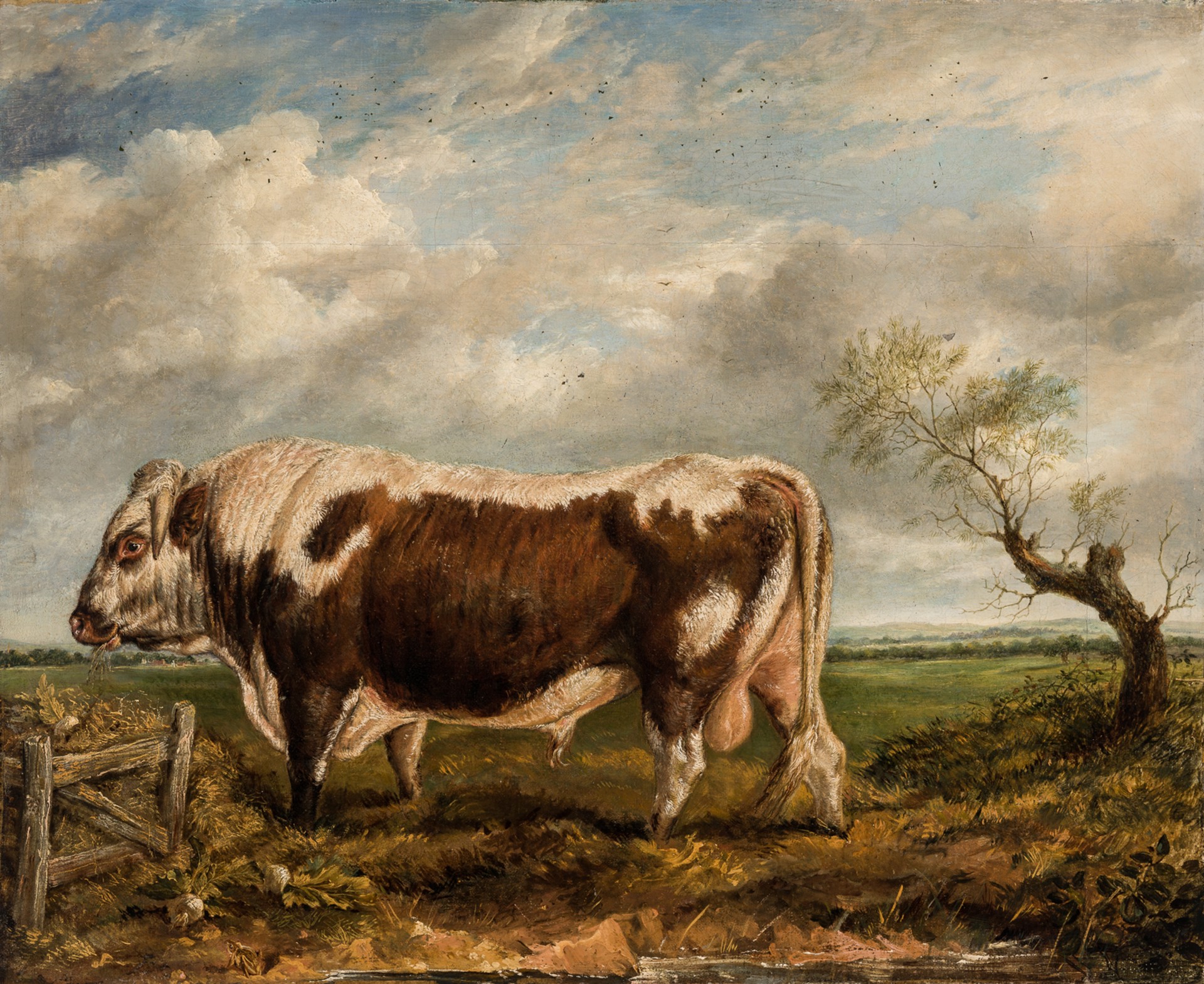 THE BULL AND THE FROG by Sir Edwin Landseer