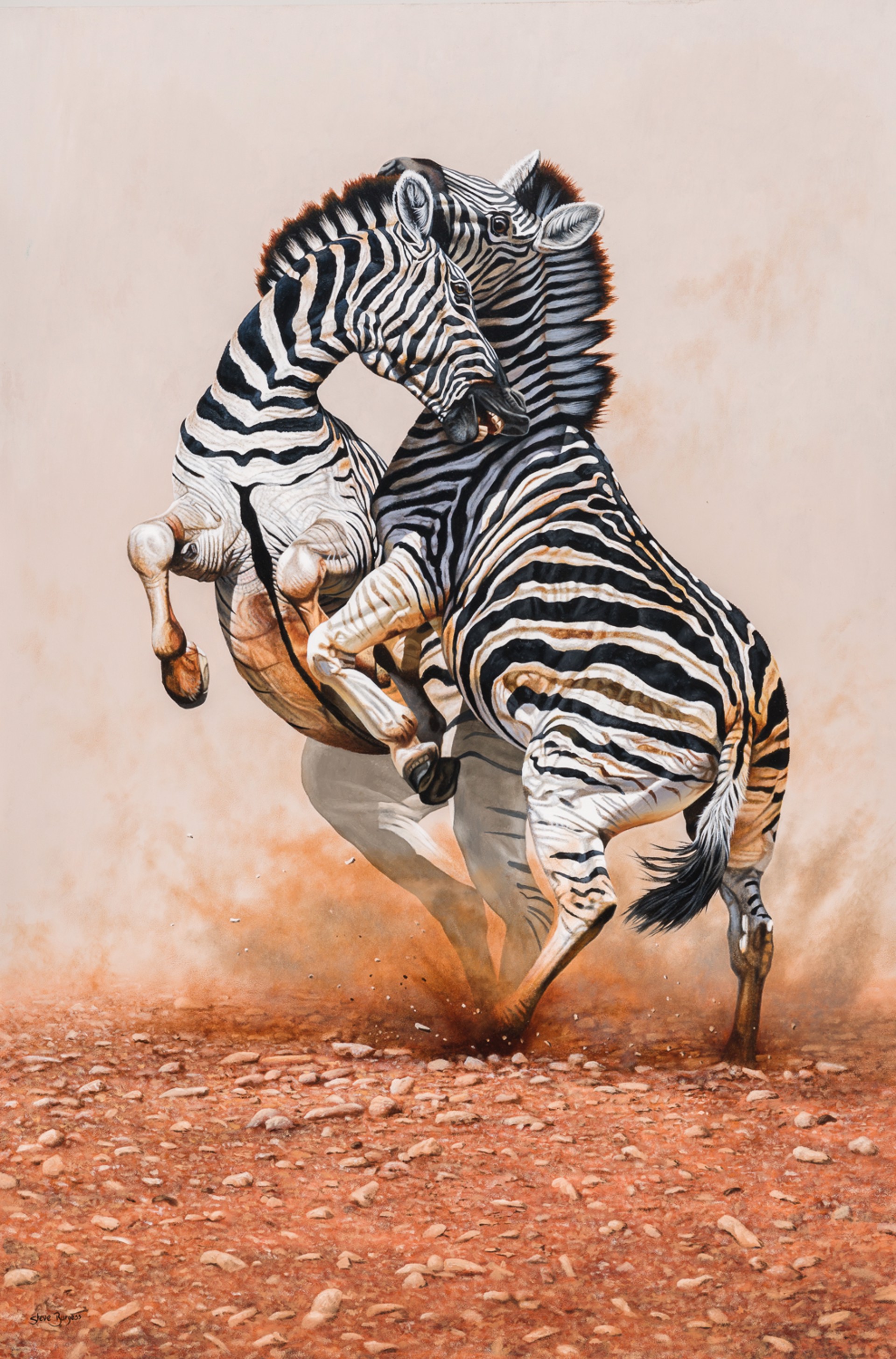 RIVALS by Steve Burgess