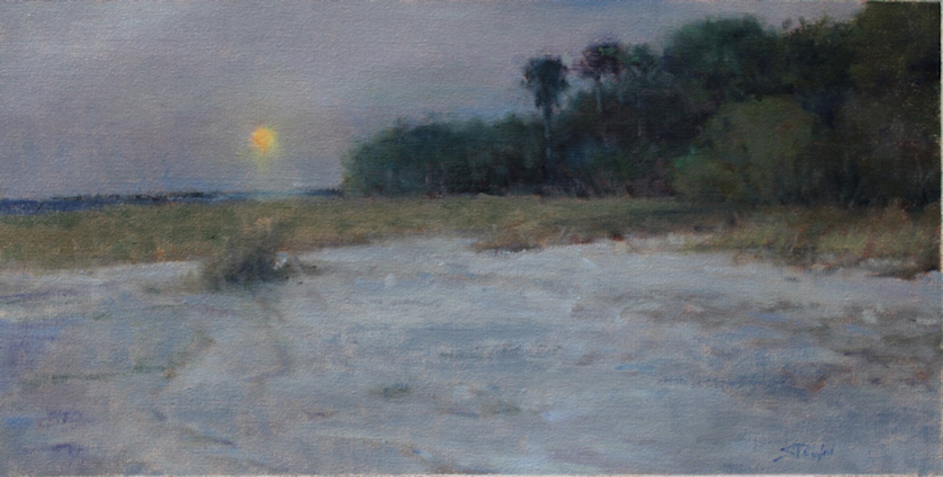 Gulf Moonlight by John Stanford