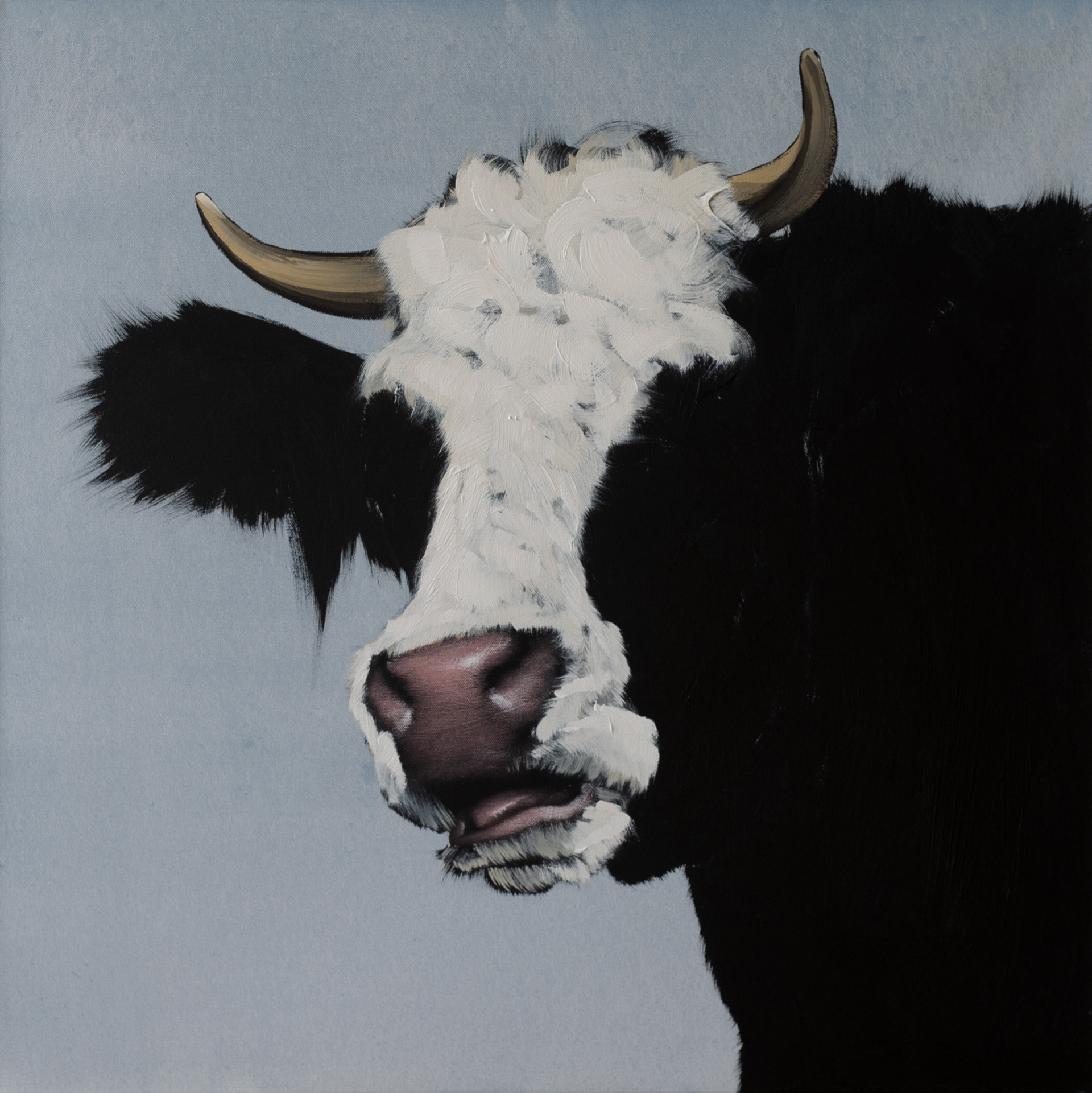 Bull 2 by Josh Brown