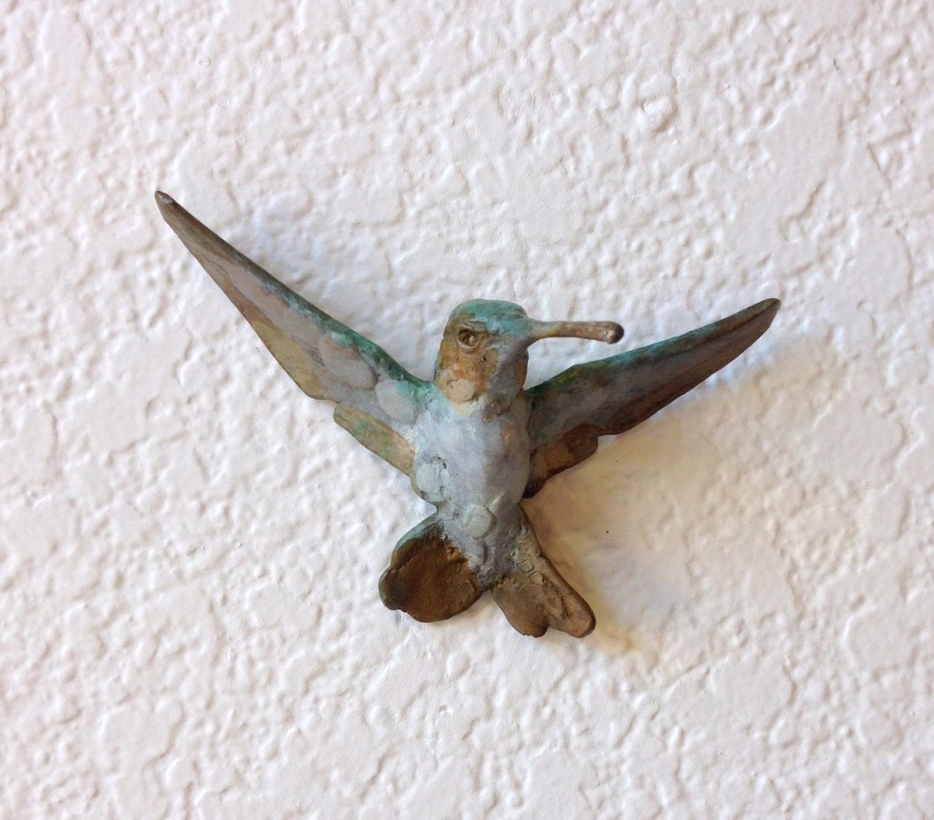 Hummingbird C by Dan Chen