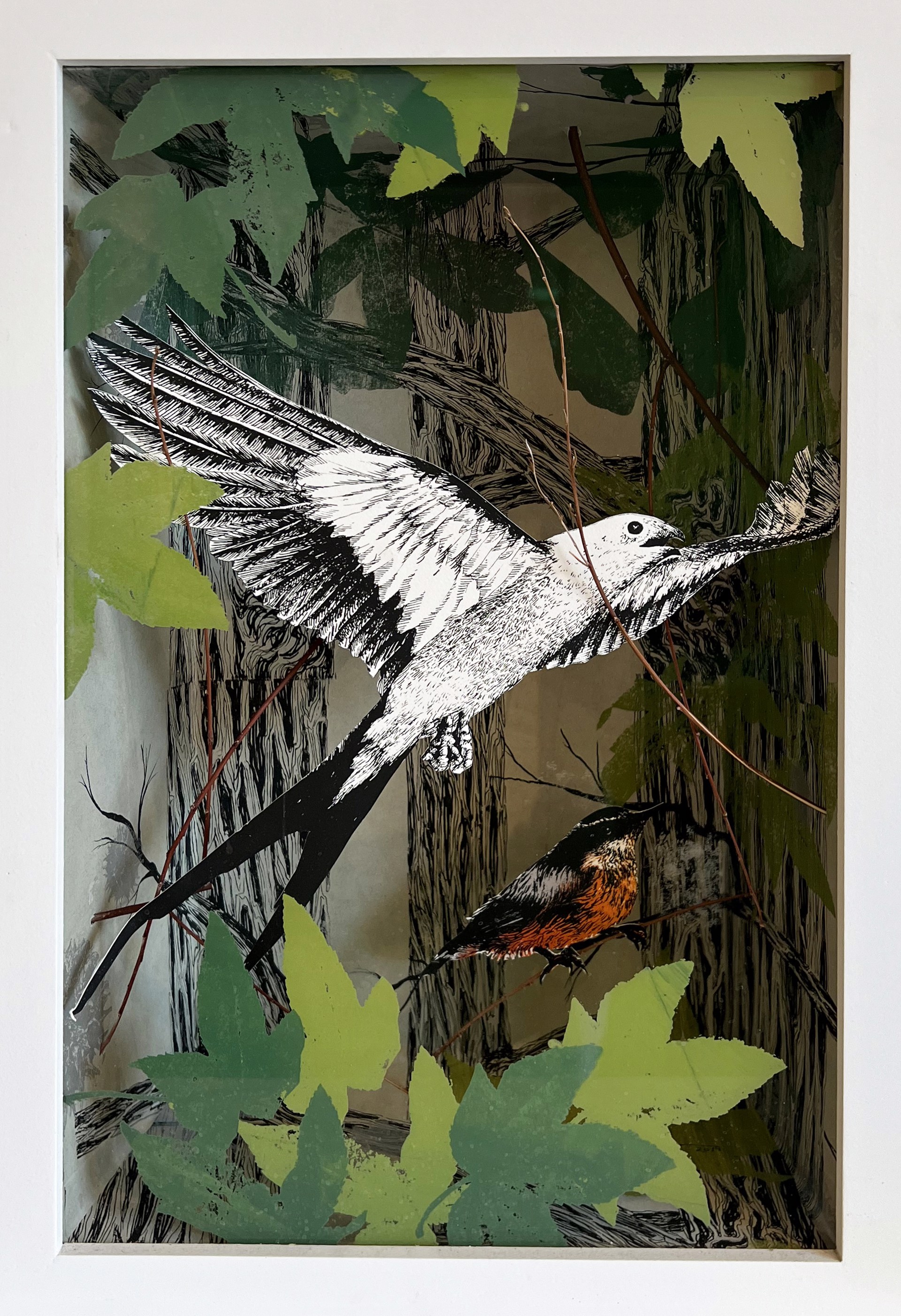 "Kite and Nuthatch in Bottomland" by Pippin Frisbie-Calder