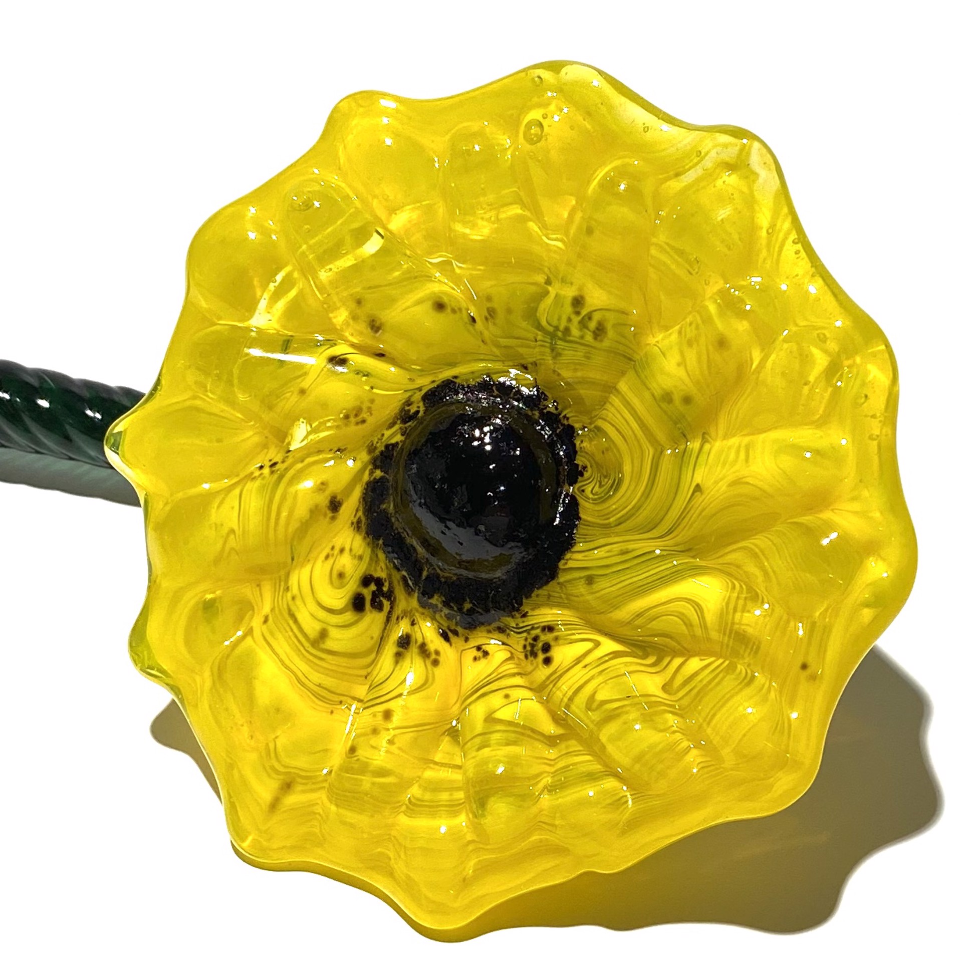 Flower-Yellow, JG by John Glass