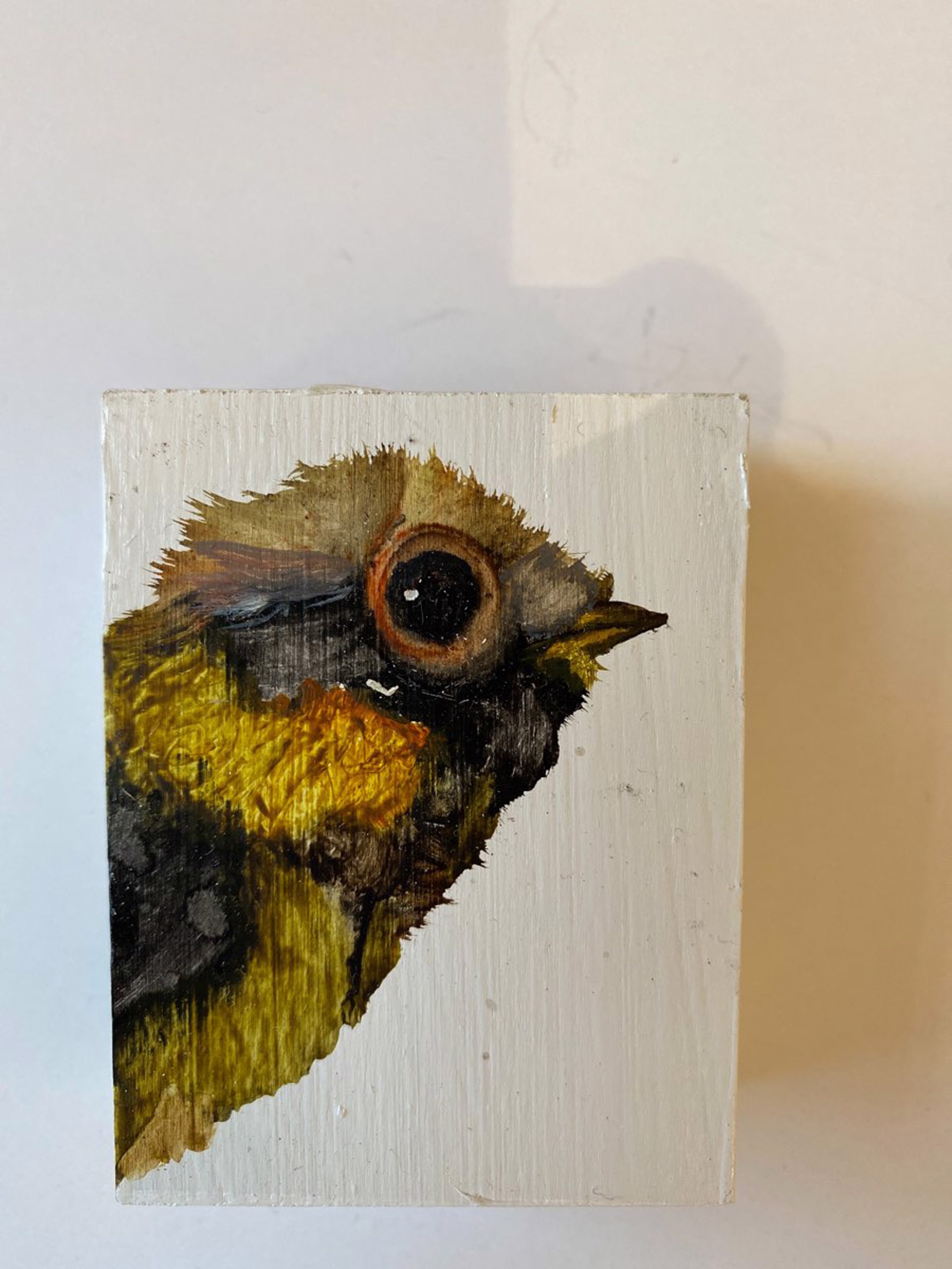 Bird Blocks by Diane Kilgore Condon