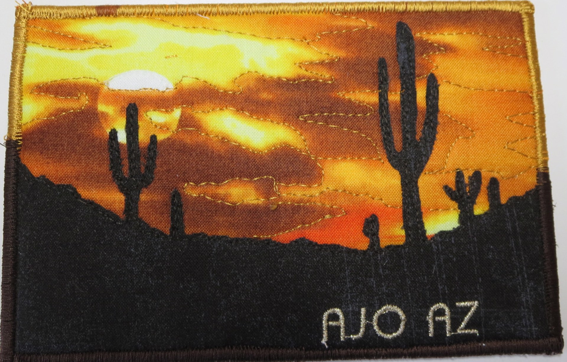 Sonoran Deset 9 Postcard by Cheryl Langer