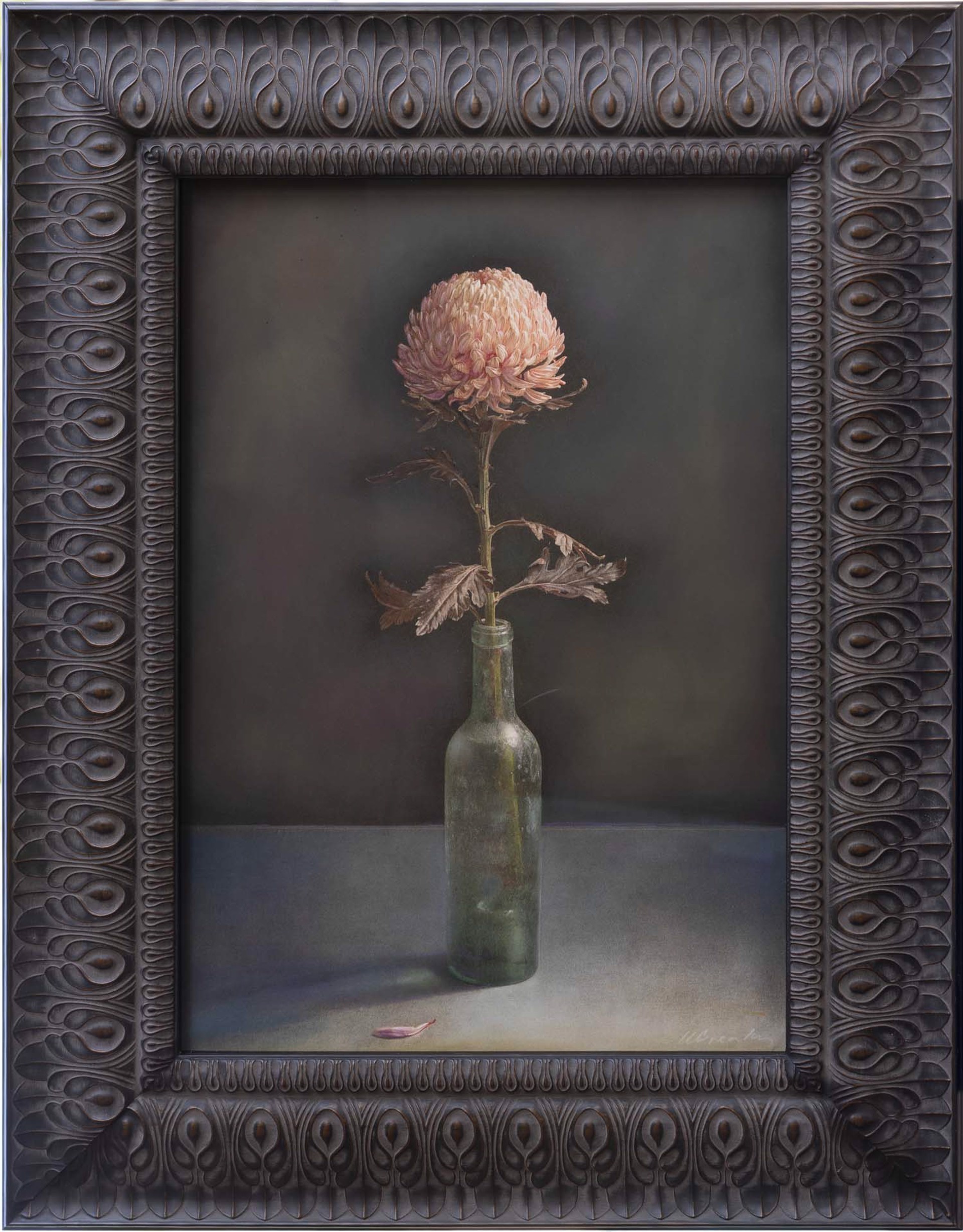 Single Chrysanthemum in Bottle by Kate Breakey