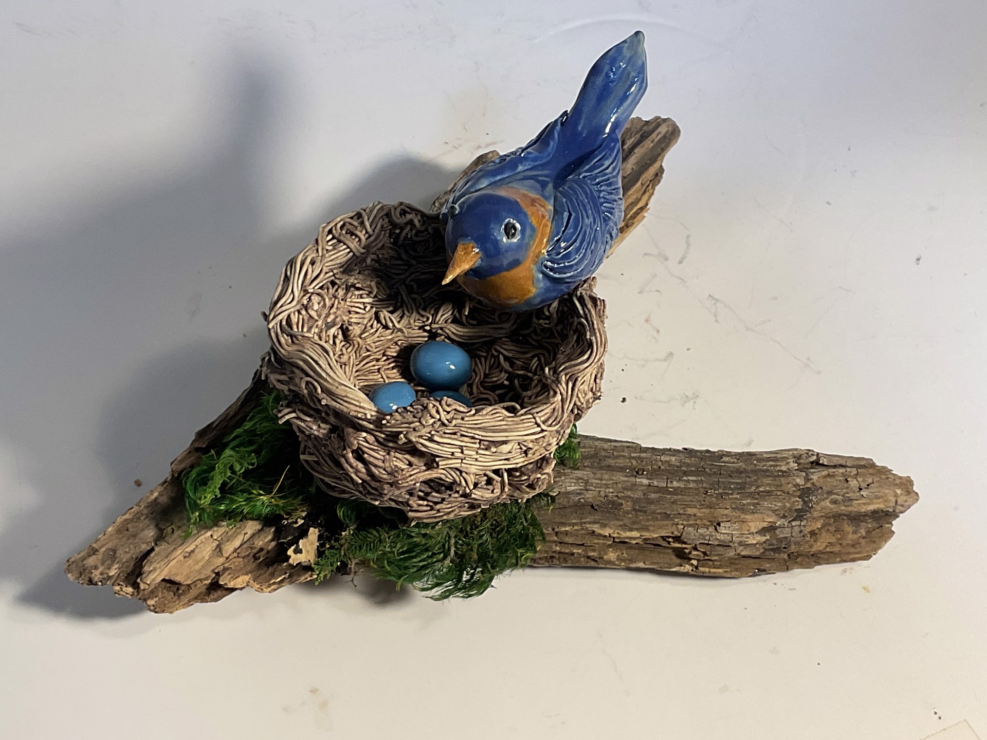 Blue Bird Nesting by Anna M. Elrod