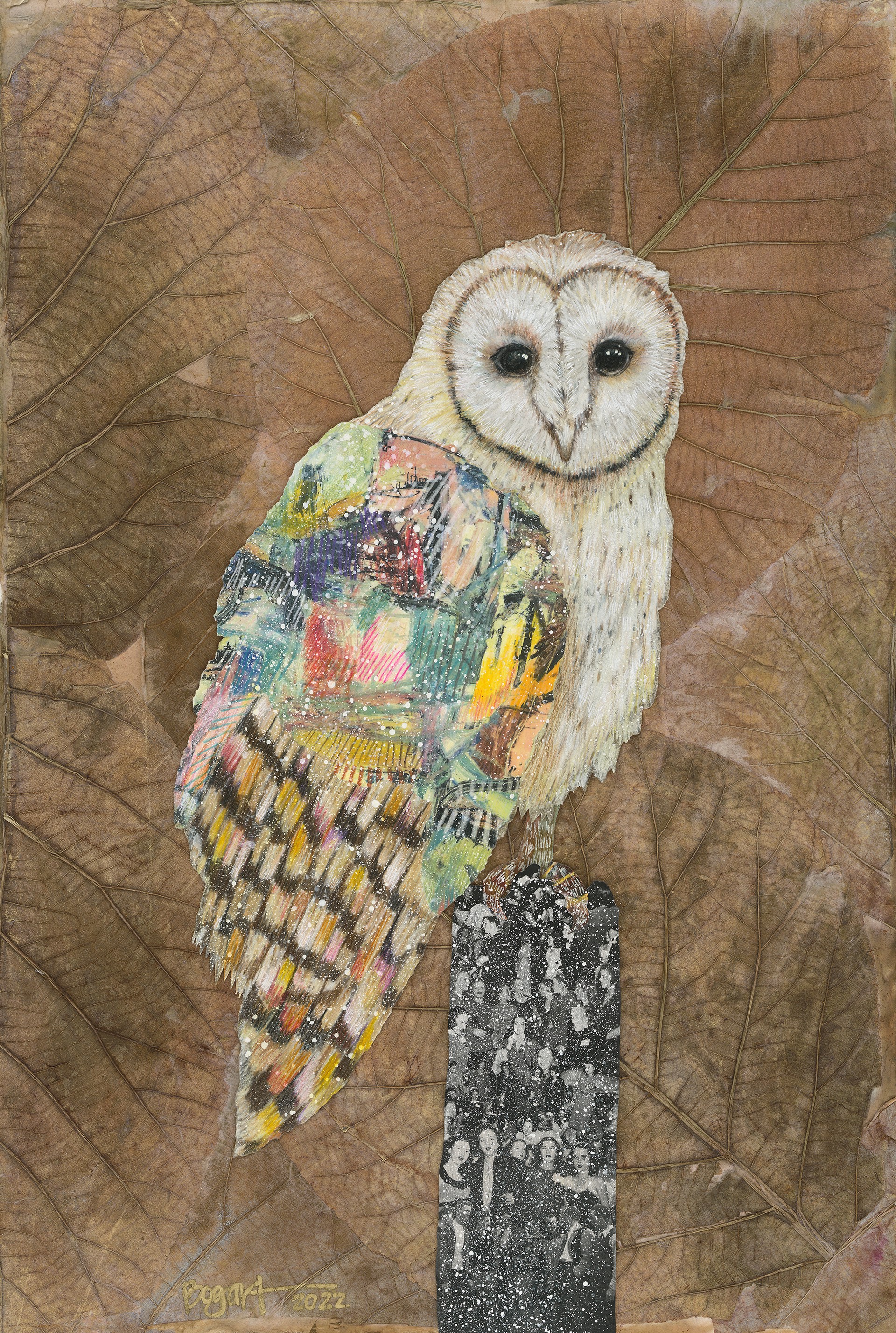 Barn Owl on Brown Leaves by Brenda Bogart
