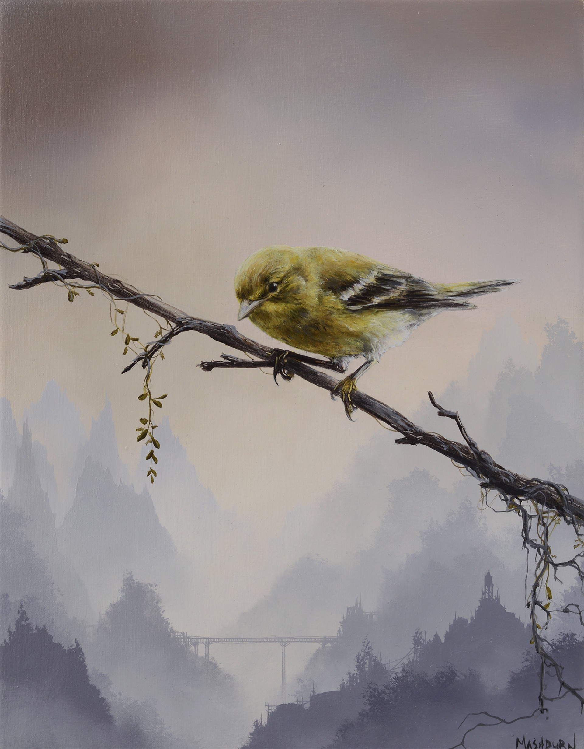Pine Warbler Perched On A Twig by Brian Mashburn