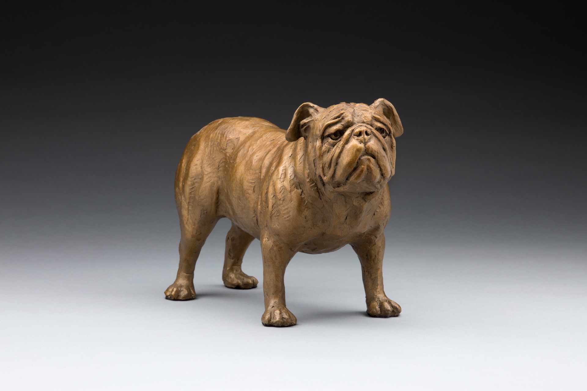 Mr. Personality  English Bulldog by Daniel Glanz (sculptor)