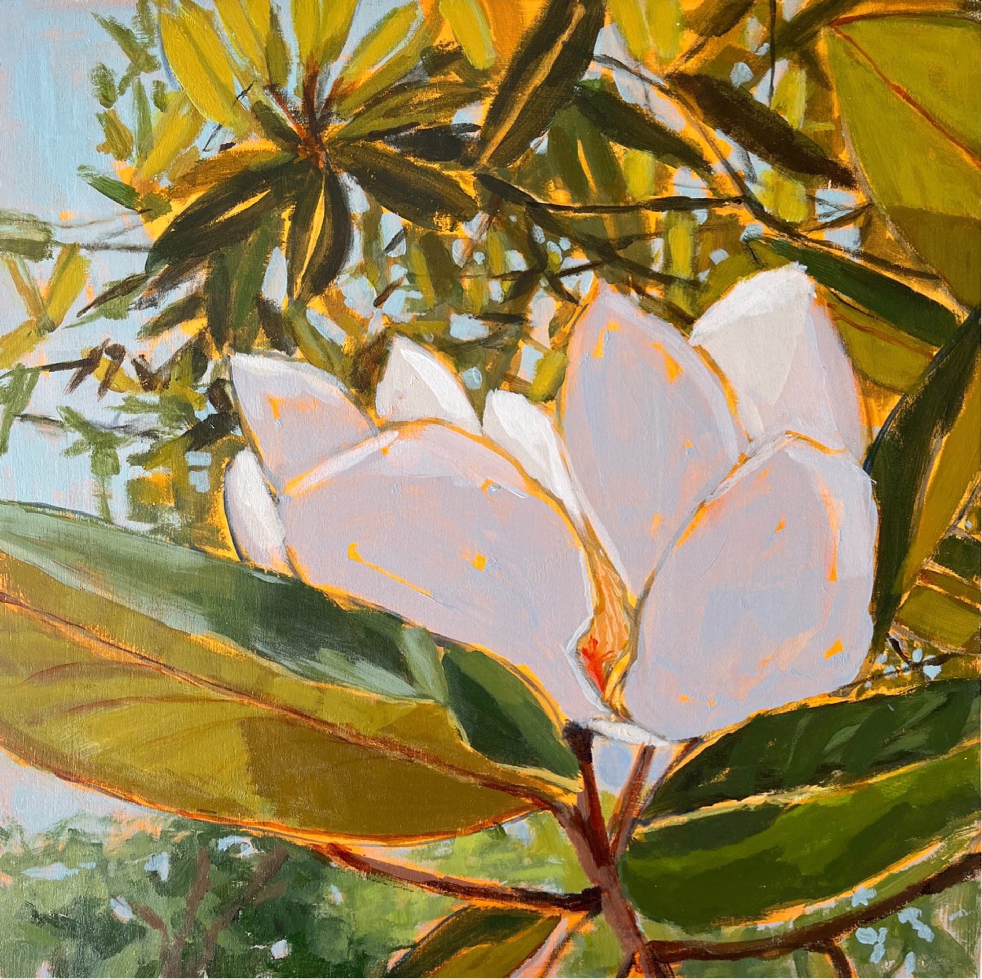 Magnolia Light Study no. 6 by Maggie Stickney