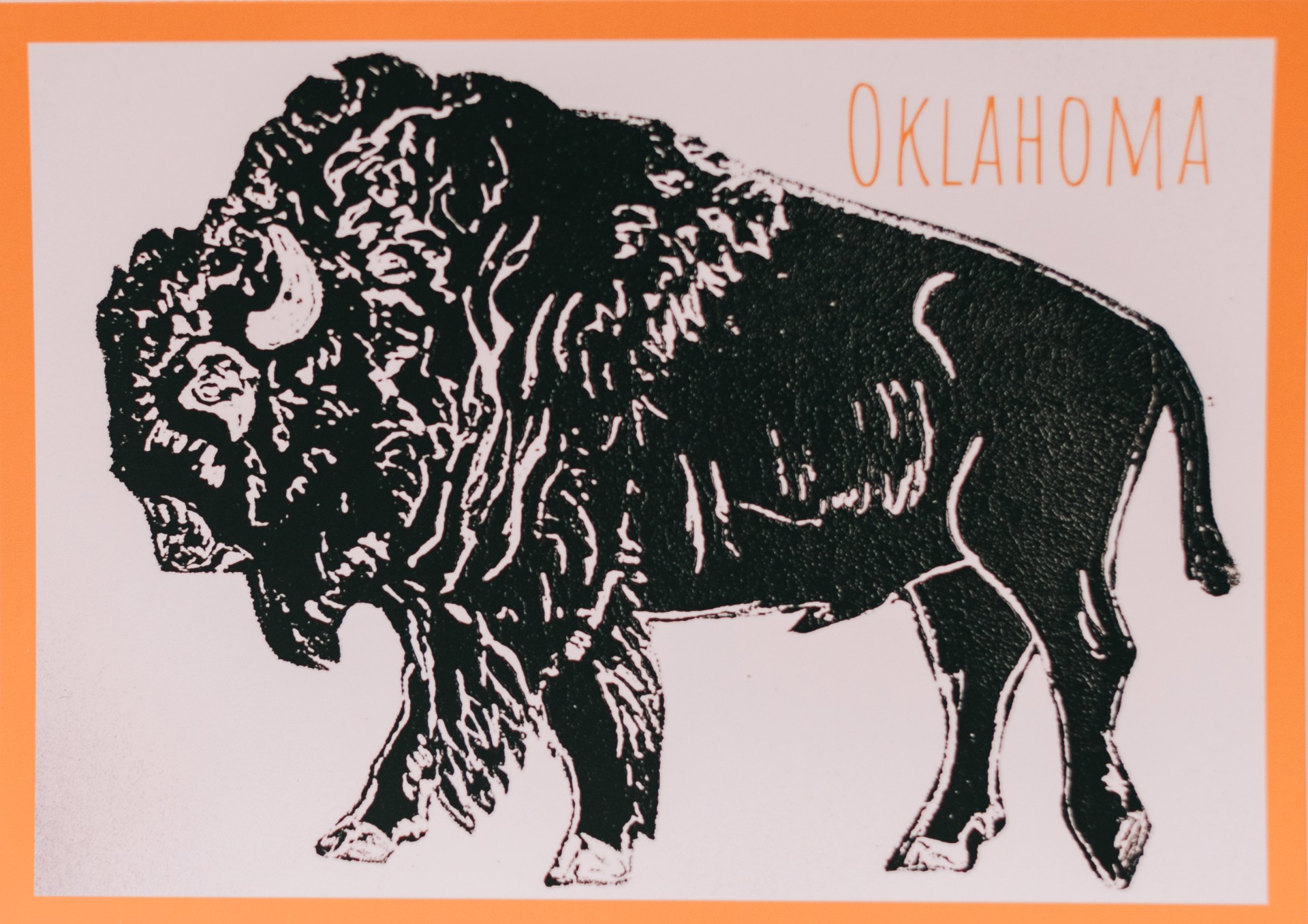Bison Postcard by Jennifer Cocoma Hustis