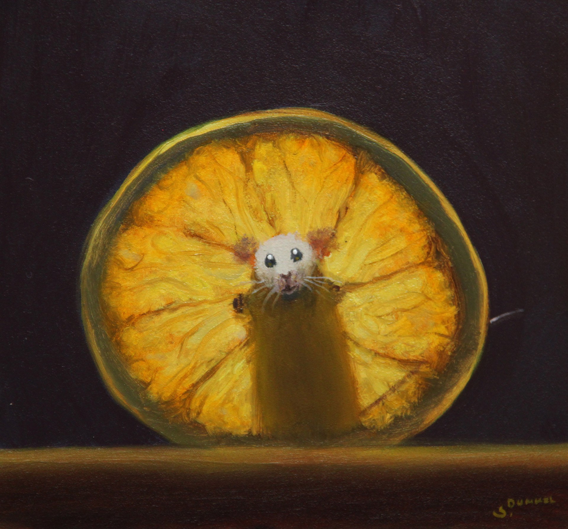 Lemon X-ray by Stuart Dunkel