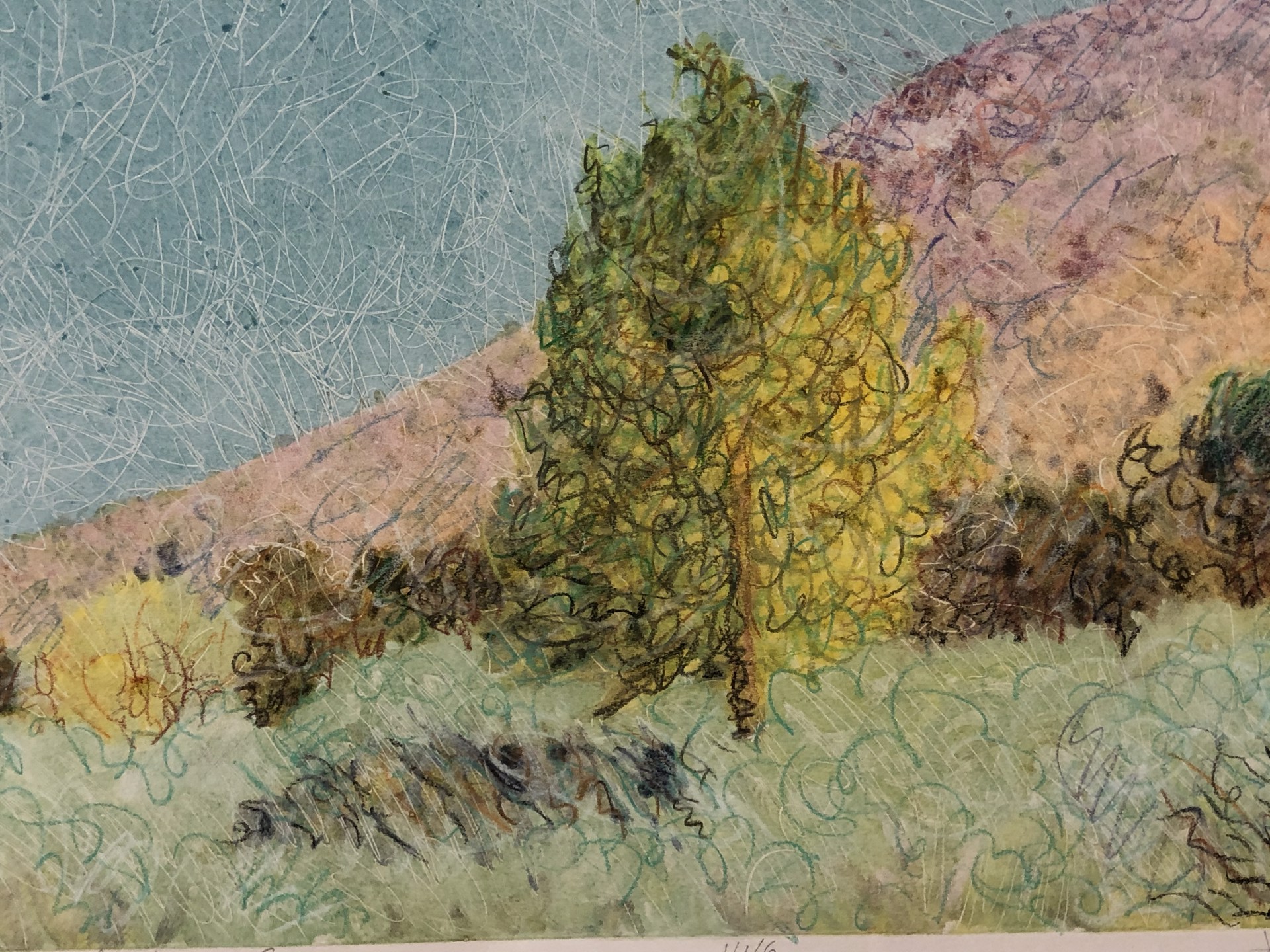 Cotton Wood in Jemez Canyon 1/1/6 by John Hogan