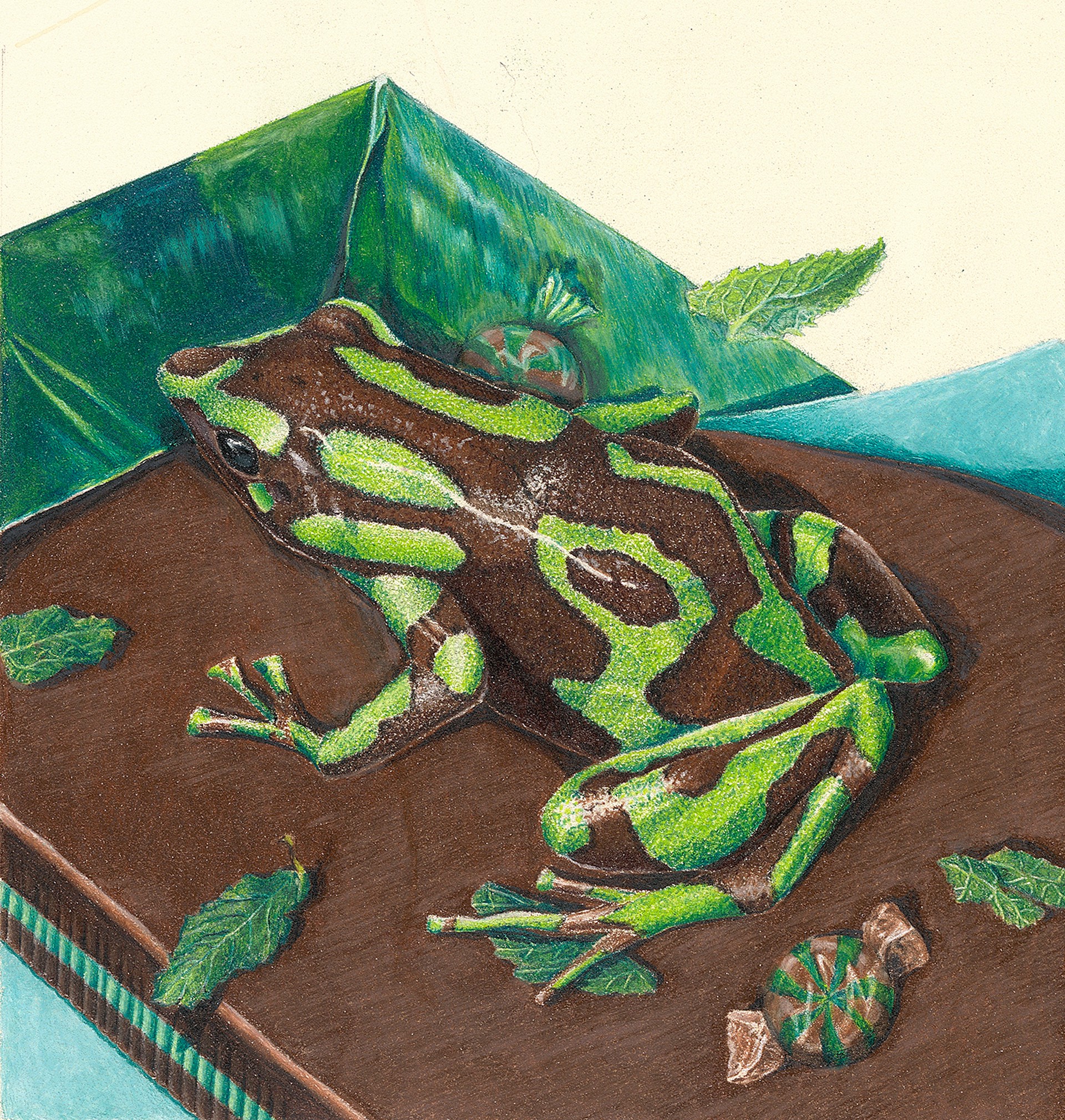 Green Frog Giclee Print by Paul Van Heest