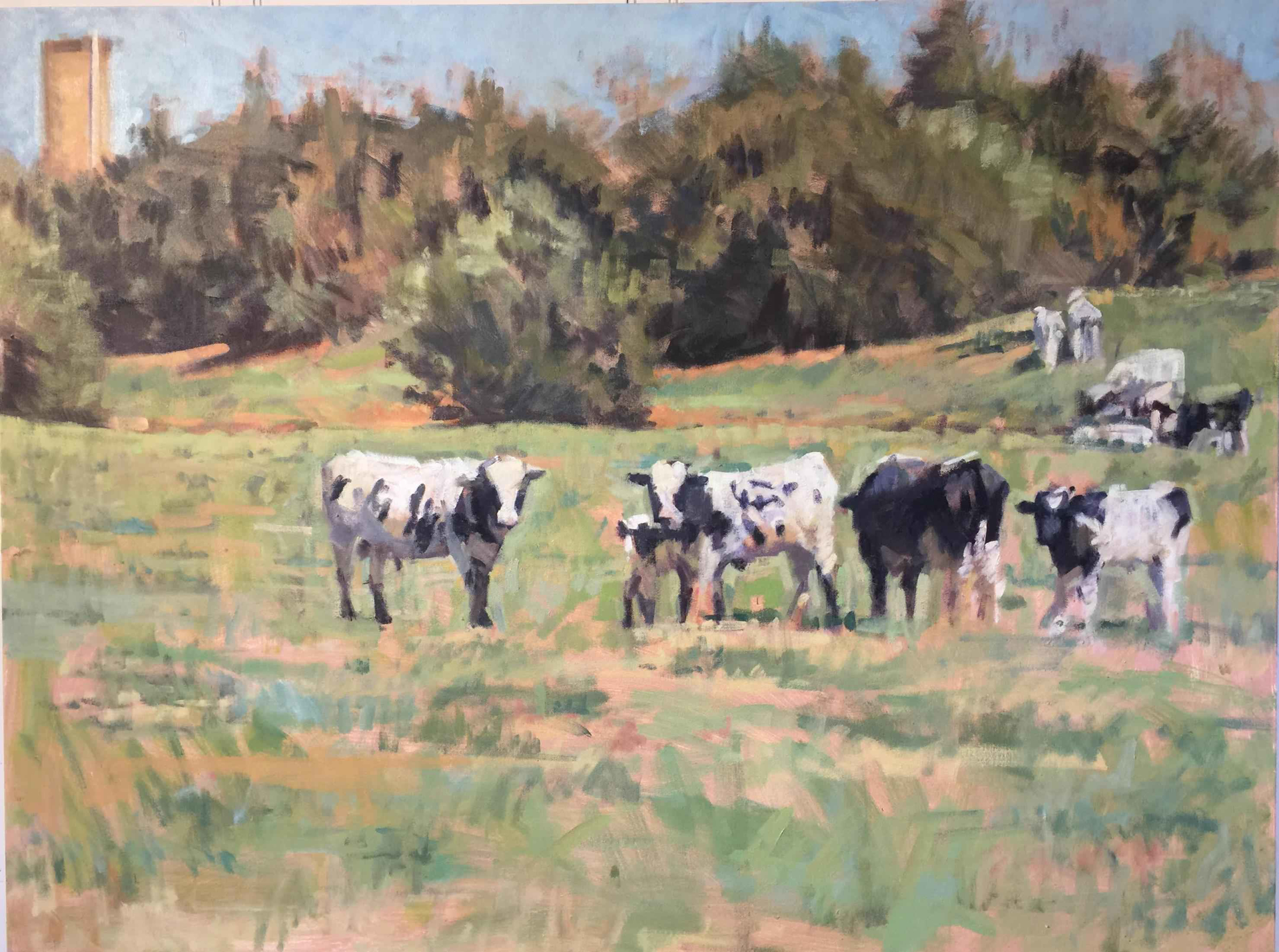 Holsteins by James Erickson