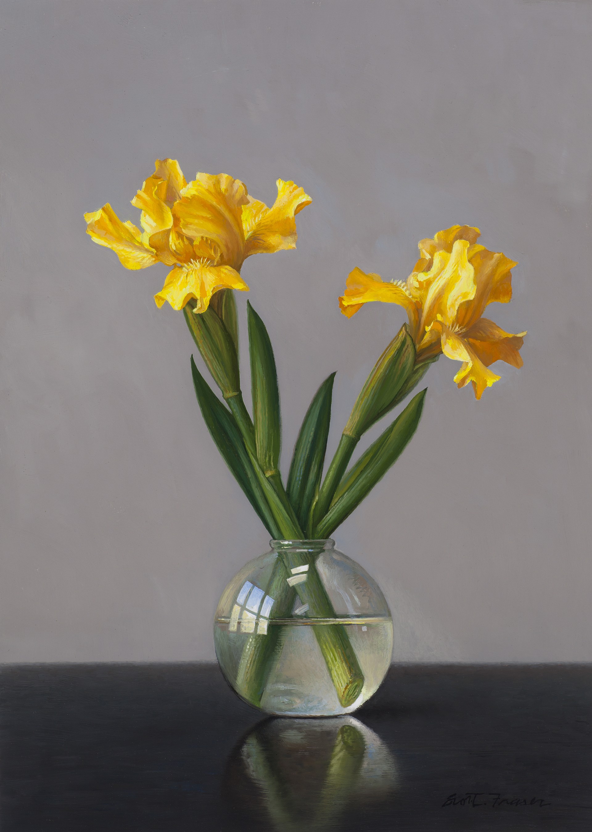 Yellow Iris by Scott Fraser