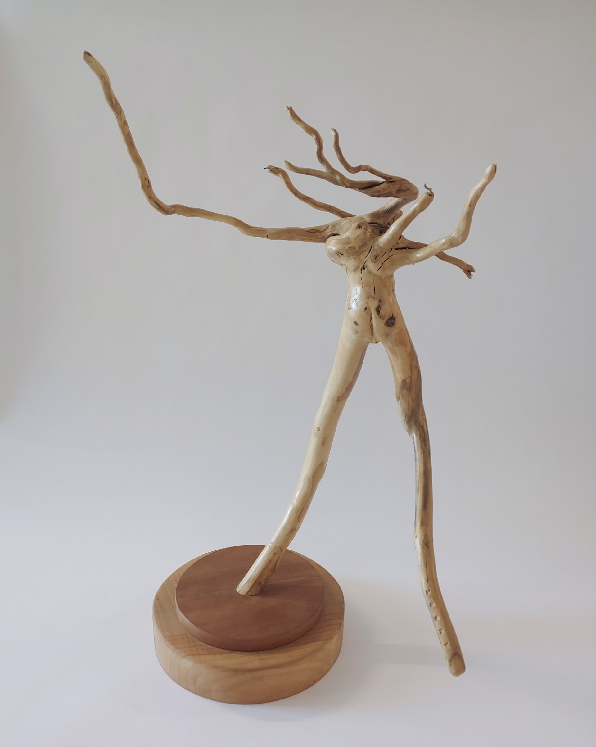 Medusa - Wood Sculpture by David Amdur