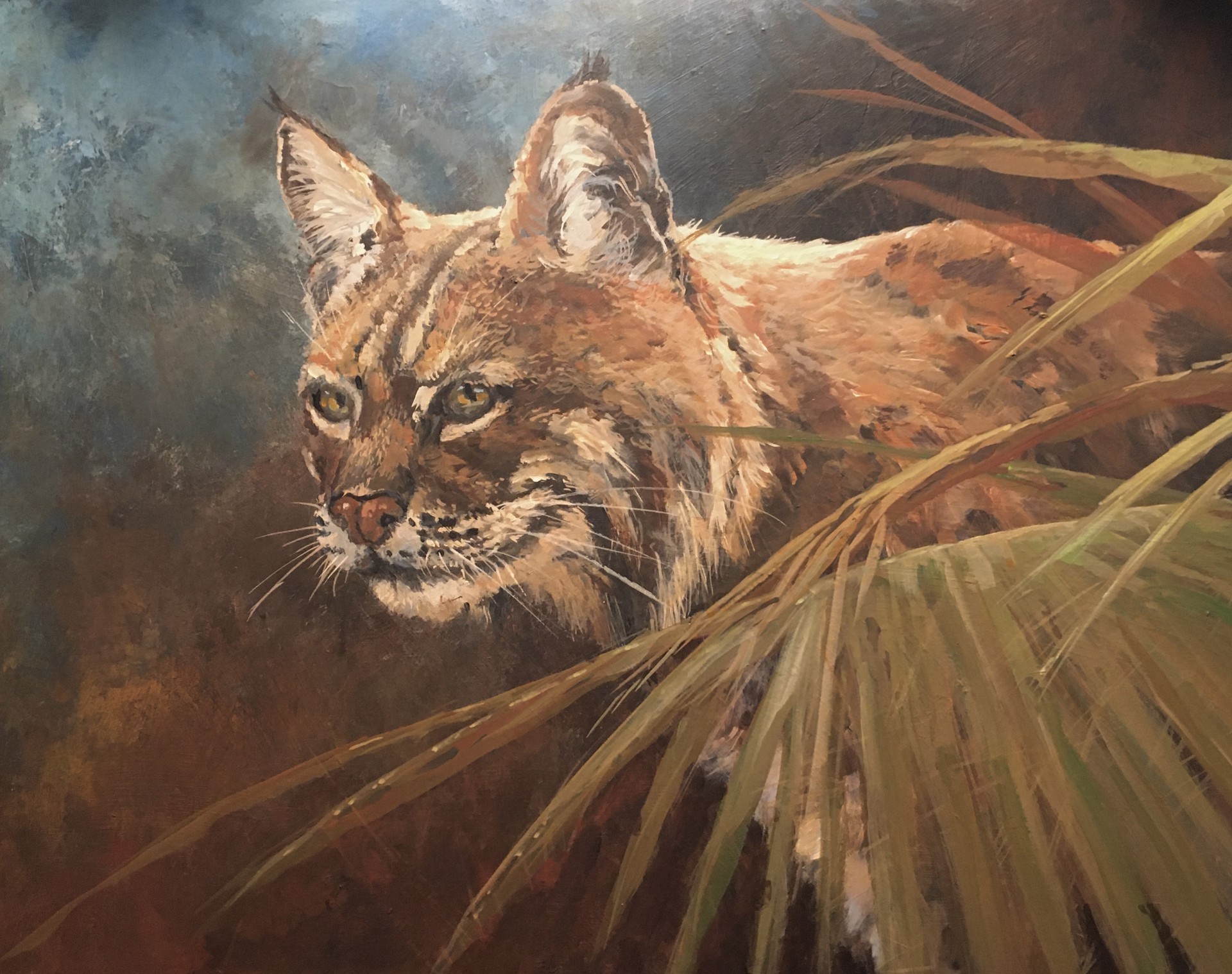 Bobcat by Scott Hiestand